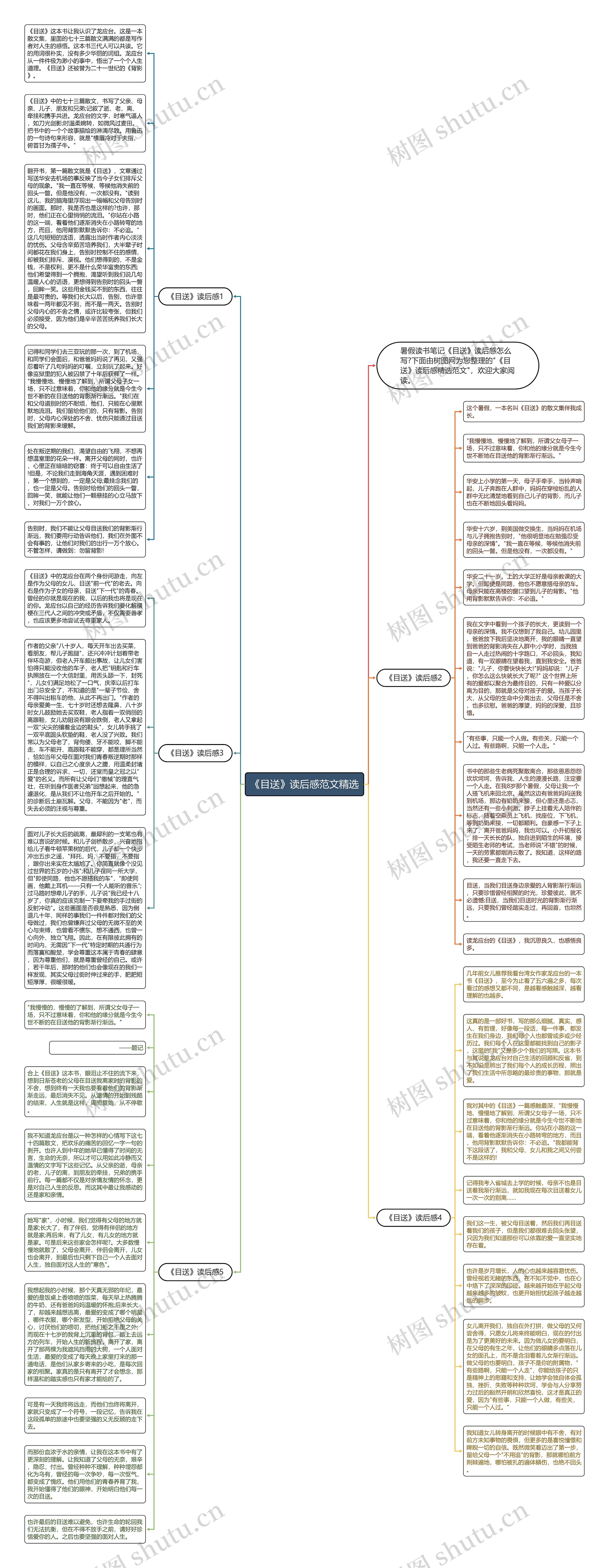 《目送》读后感范文精选思维导图