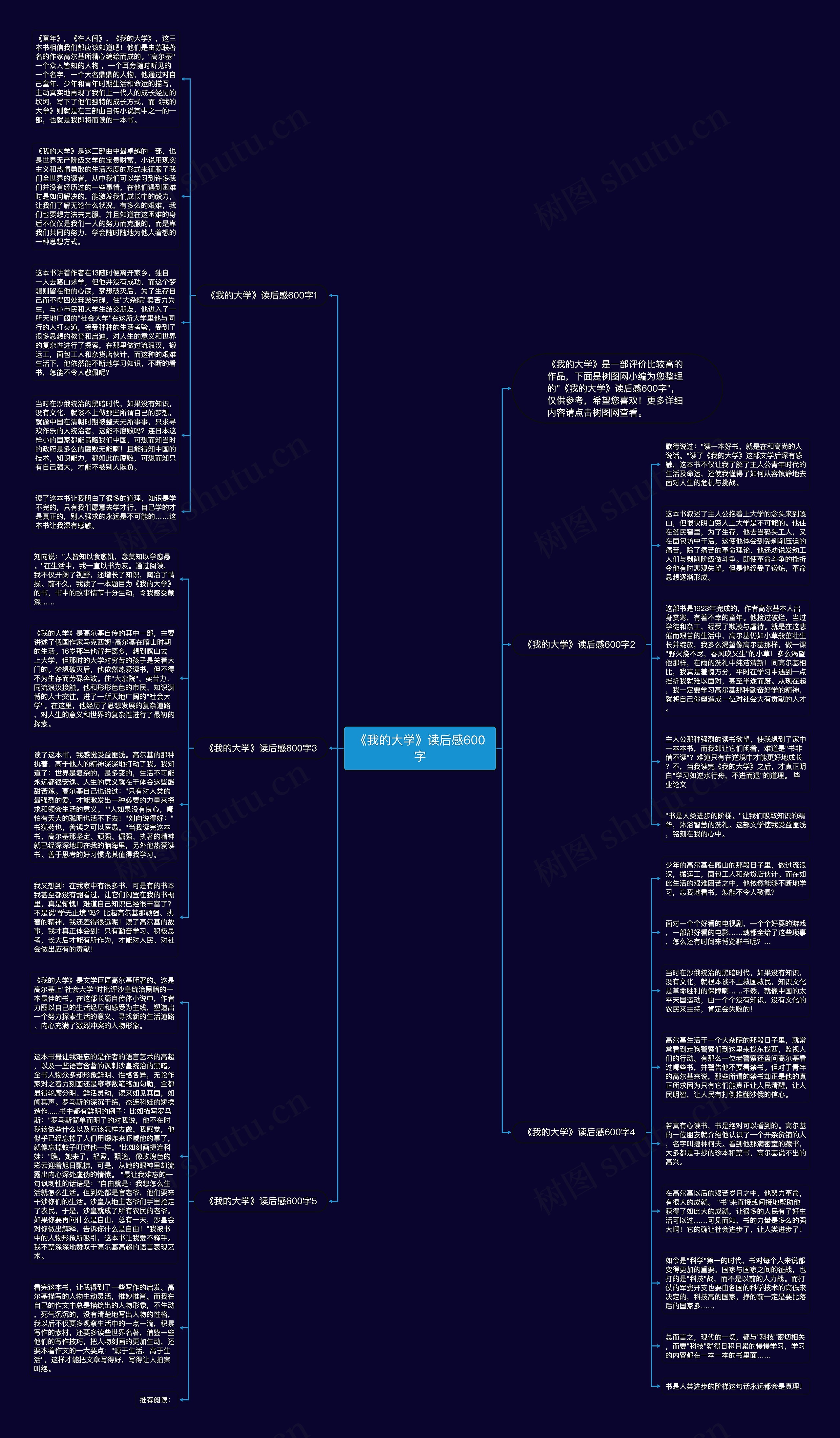 《我的大学》读后感600字思维导图