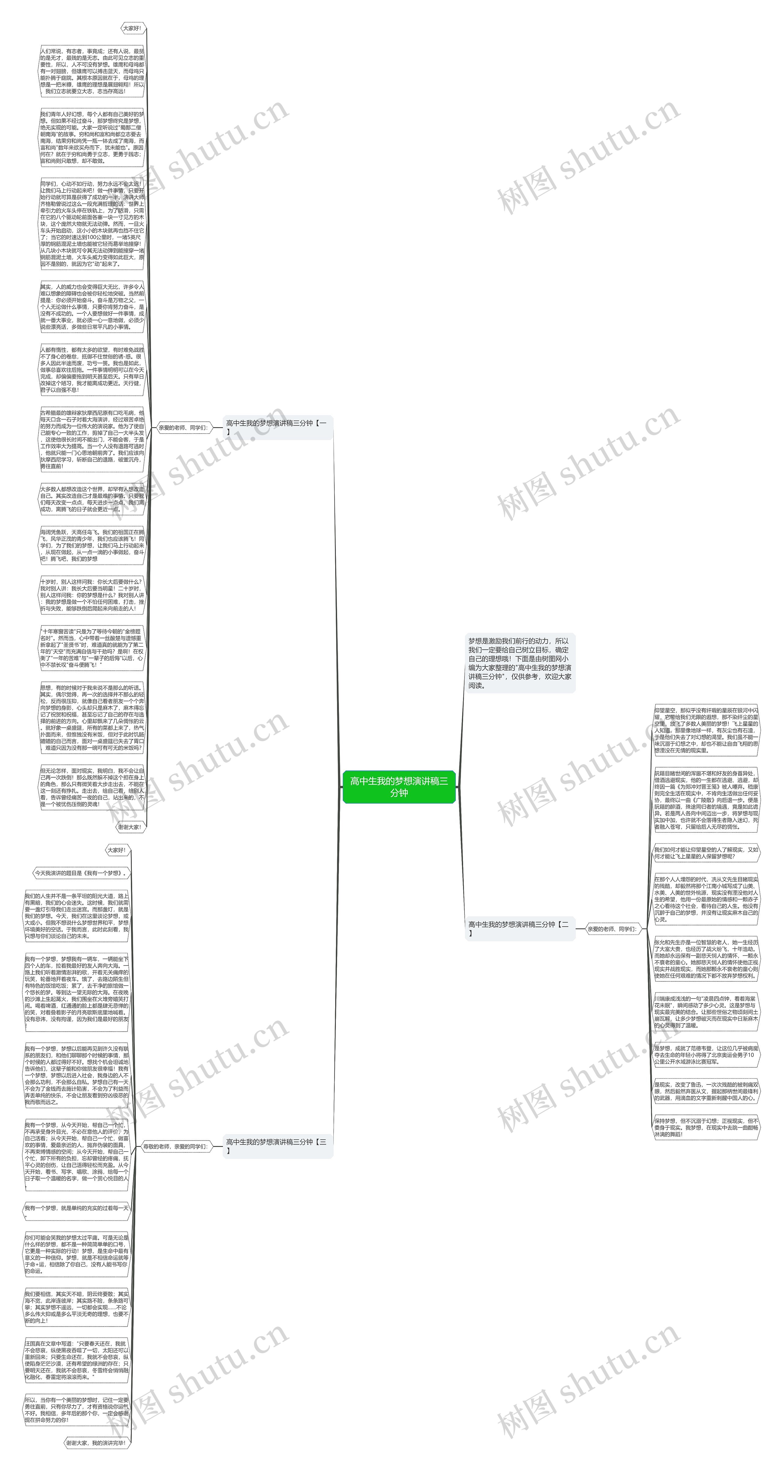 高中生我的梦想演讲稿三分钟思维导图
