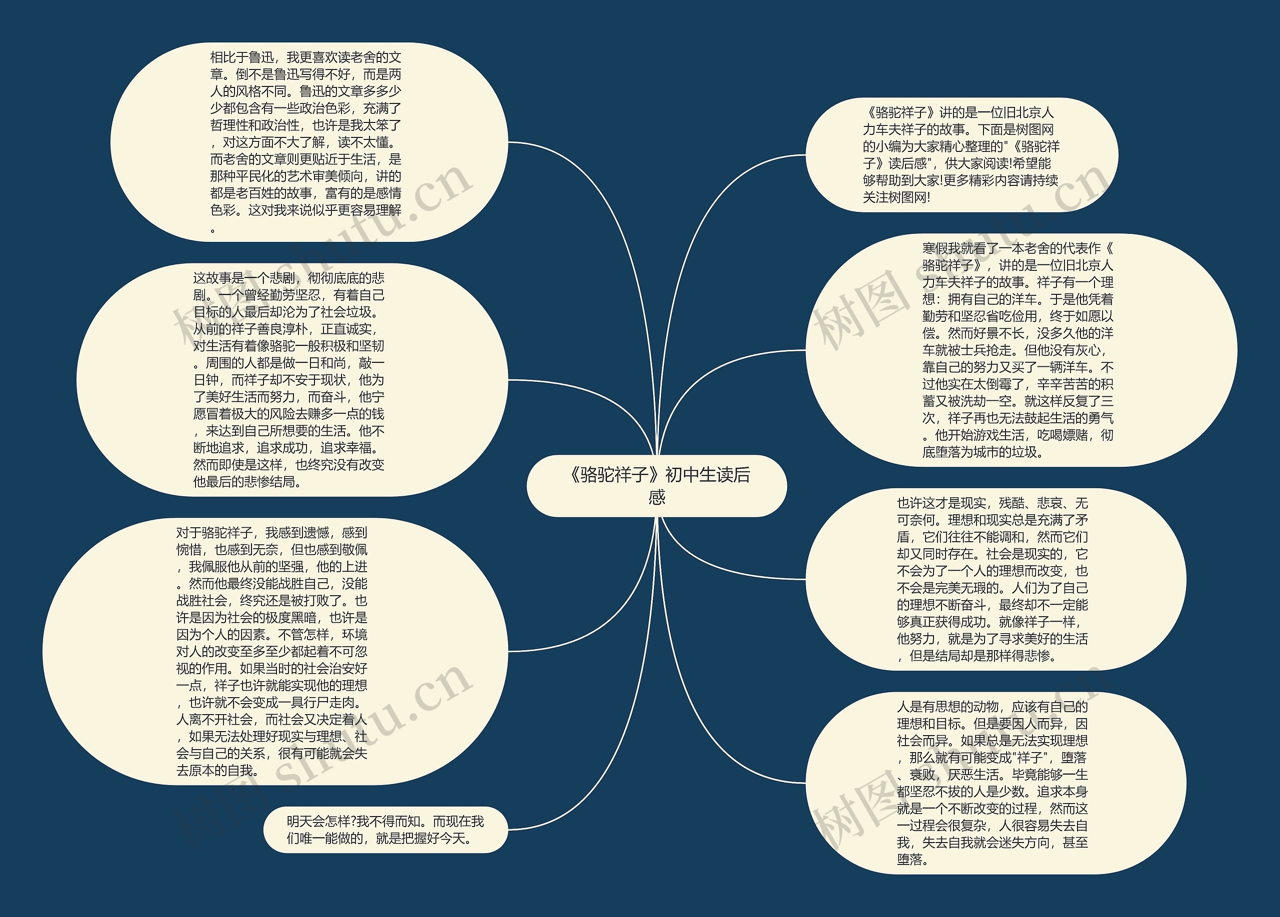 《骆驼祥子》初中生读后感思维导图