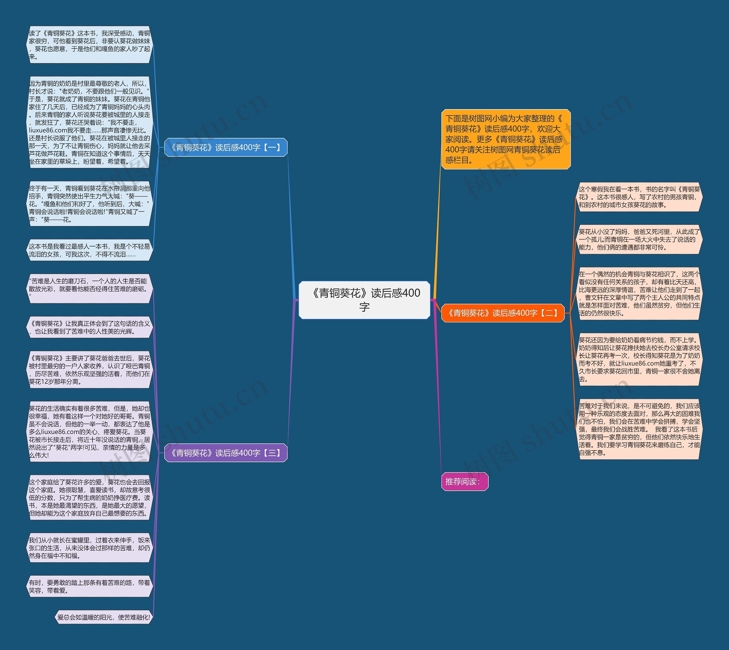 《青铜葵花》读后感400字思维导图