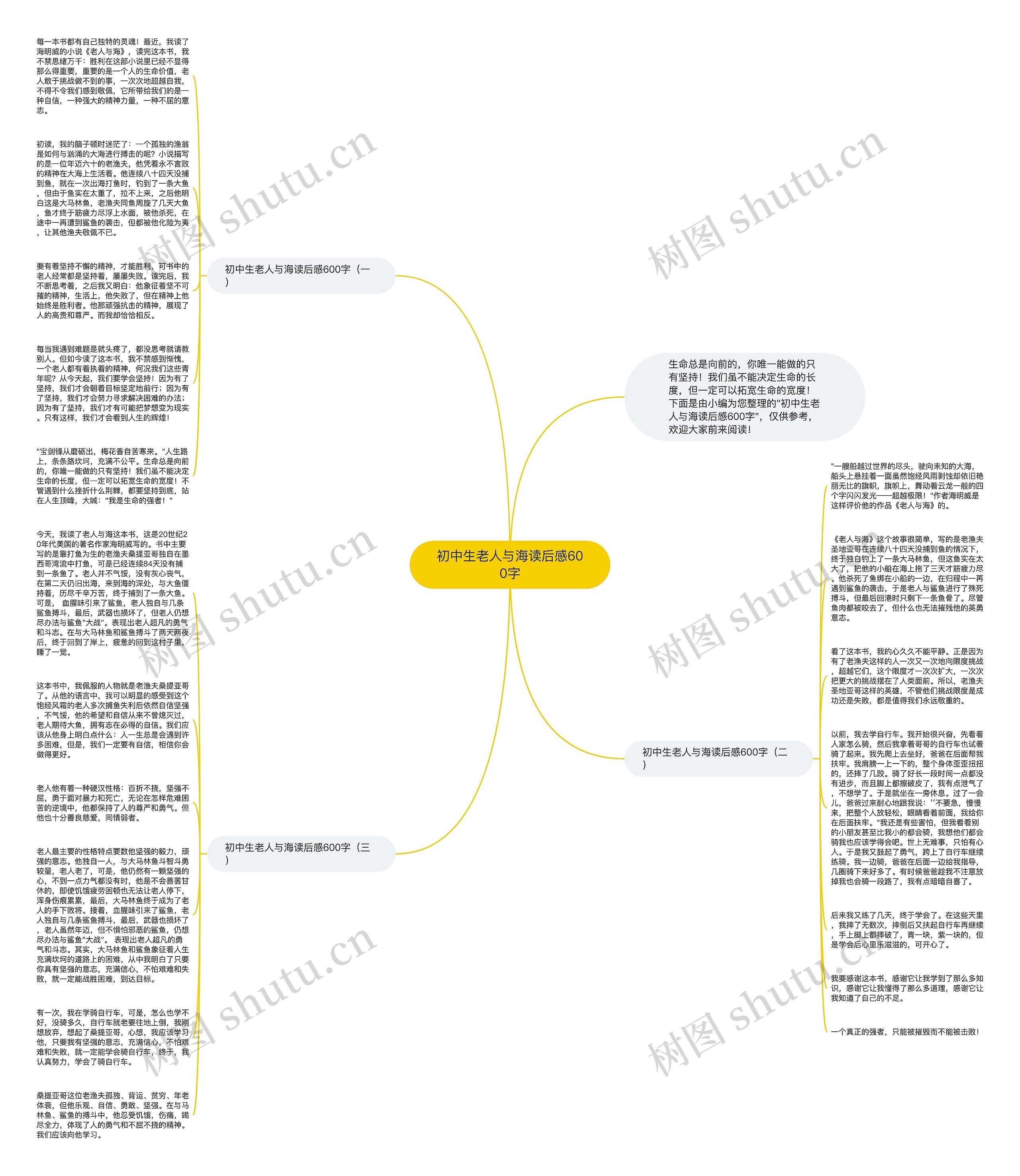 初中生老人与海读后感600字思维导图