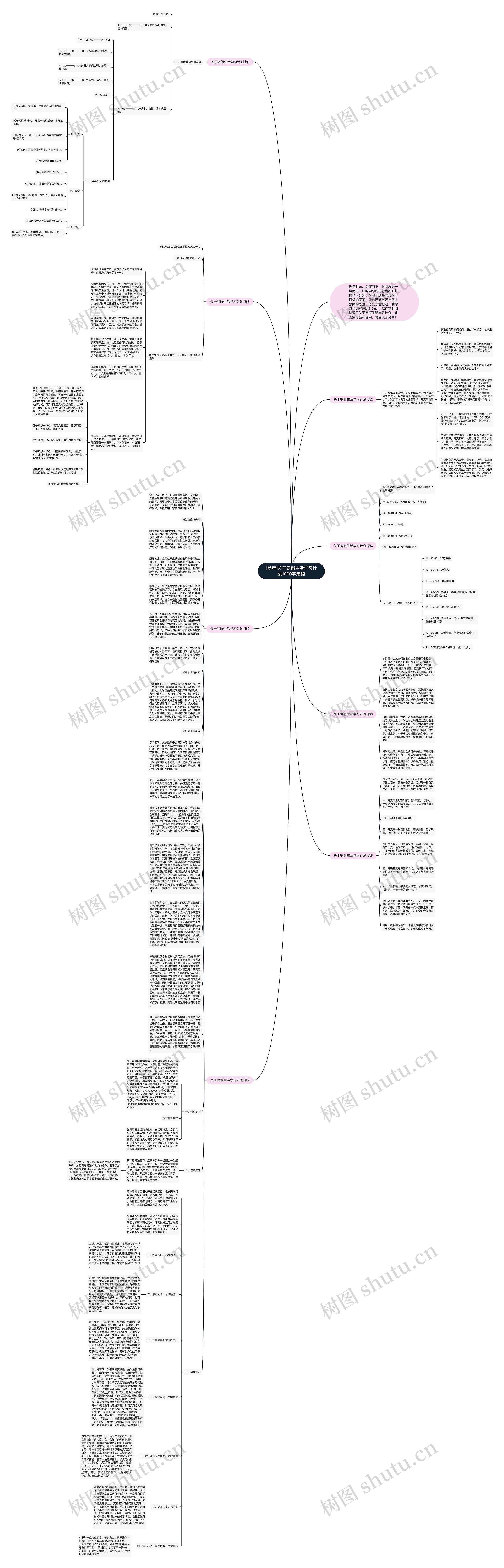 [参考]关于寒假生活学习计划1000字集锦思维导图