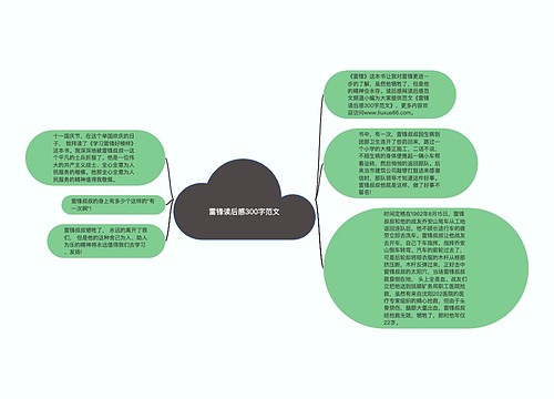 雷锋读后感300字范文