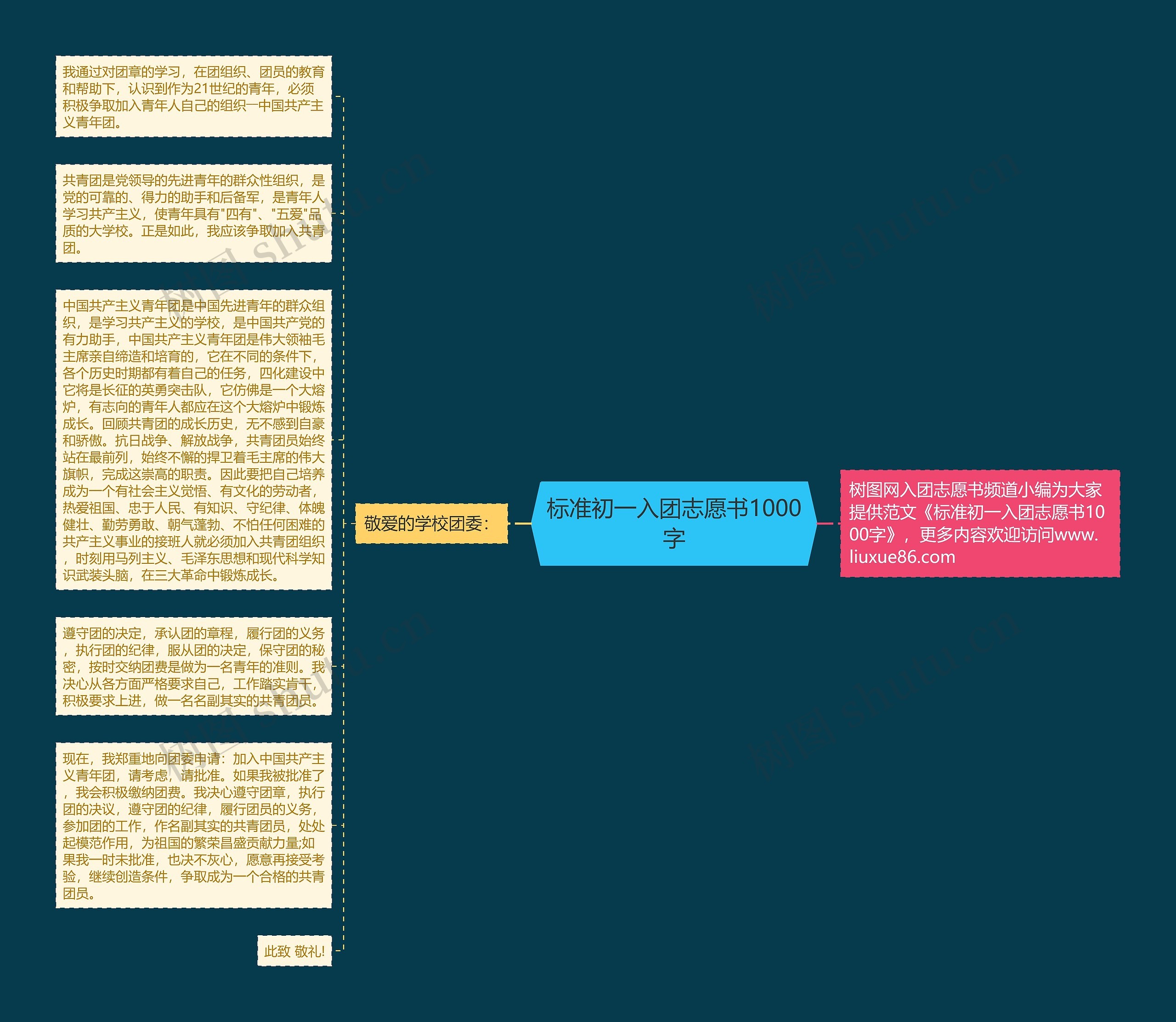 标准初一入团志愿书1000字思维导图