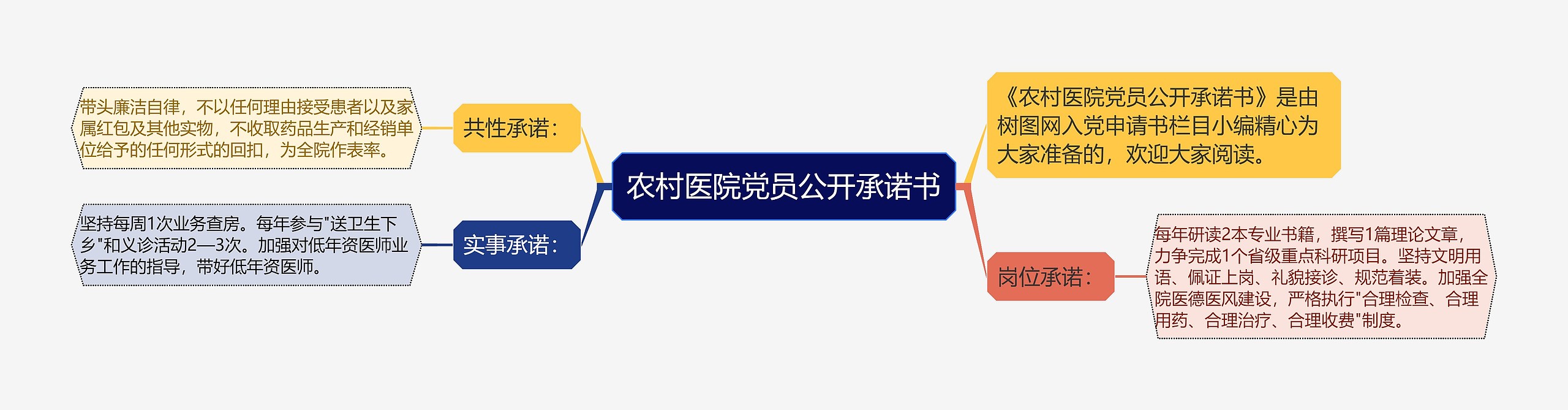 农村医院党员公开承诺书