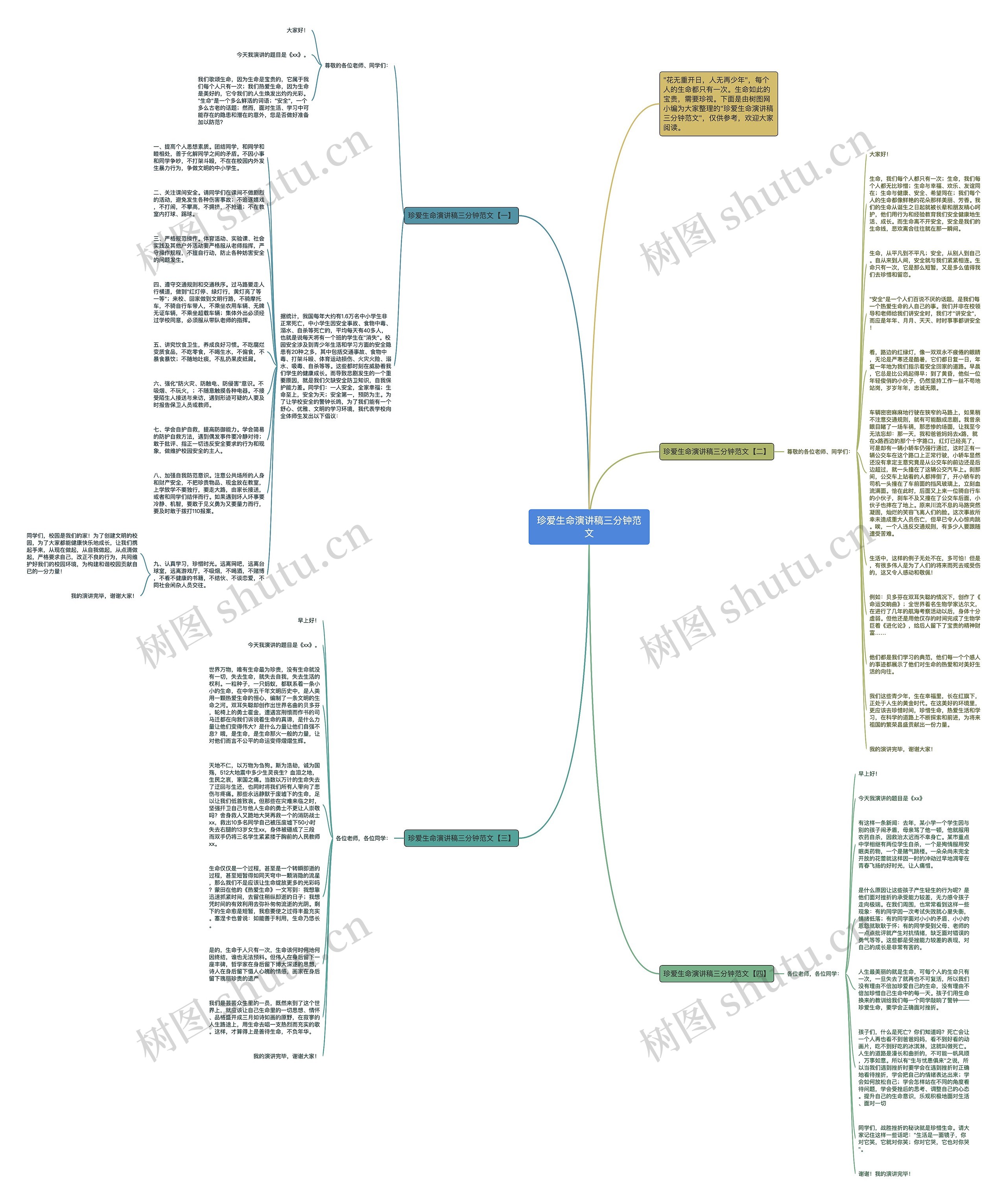珍爱生命演讲稿三分钟范文思维导图