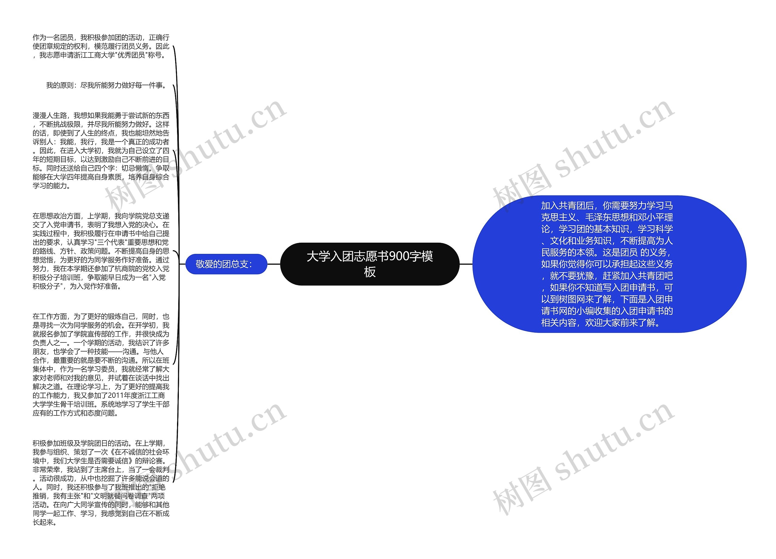 大学入团志愿书900字模板