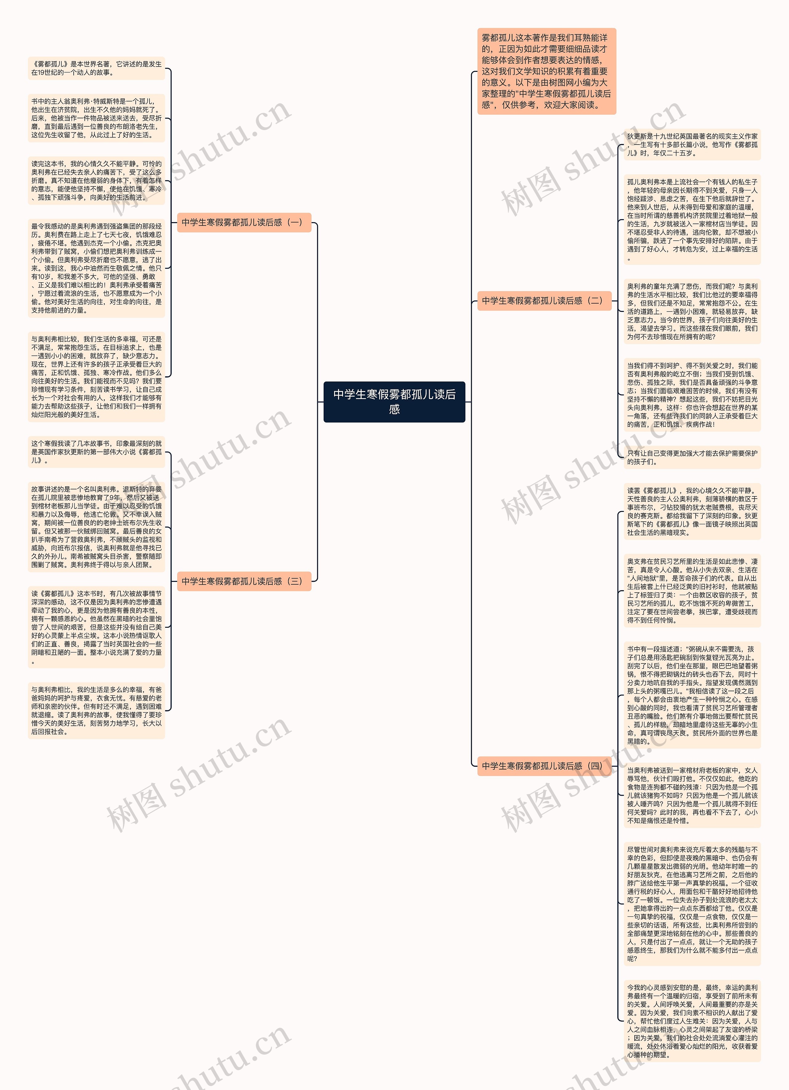 中学生寒假雾都孤儿读后感思维导图