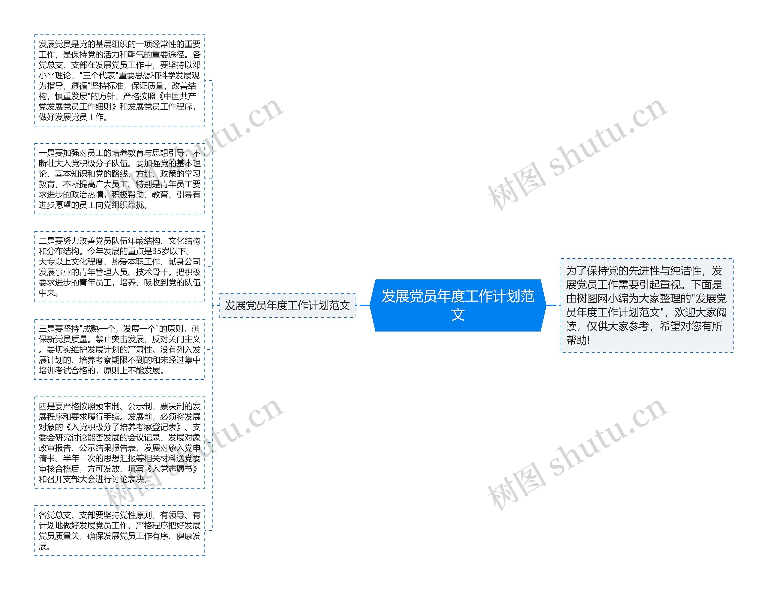 发展党员年度工作计划范文思维导图