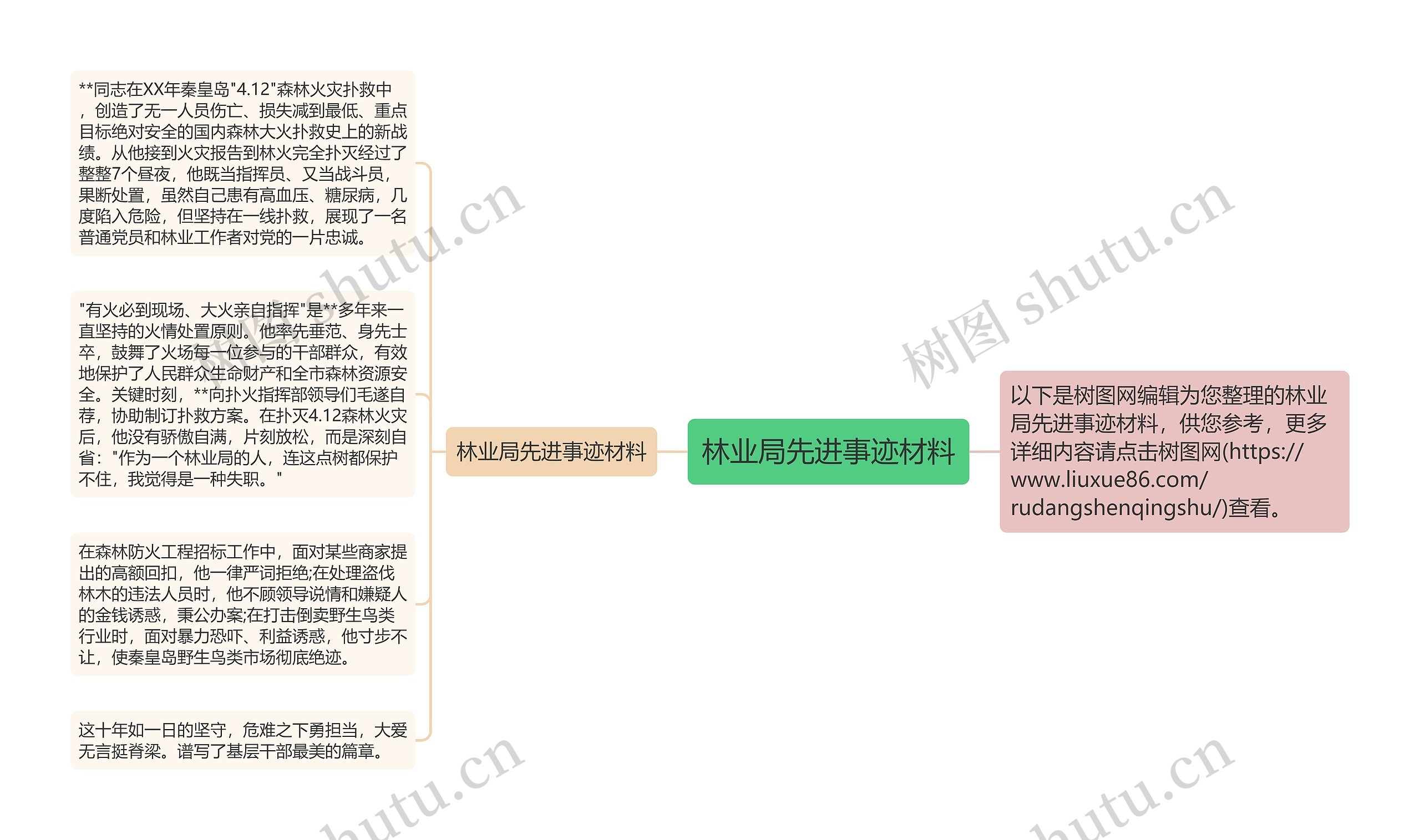 林业局先进事迹材料思维导图