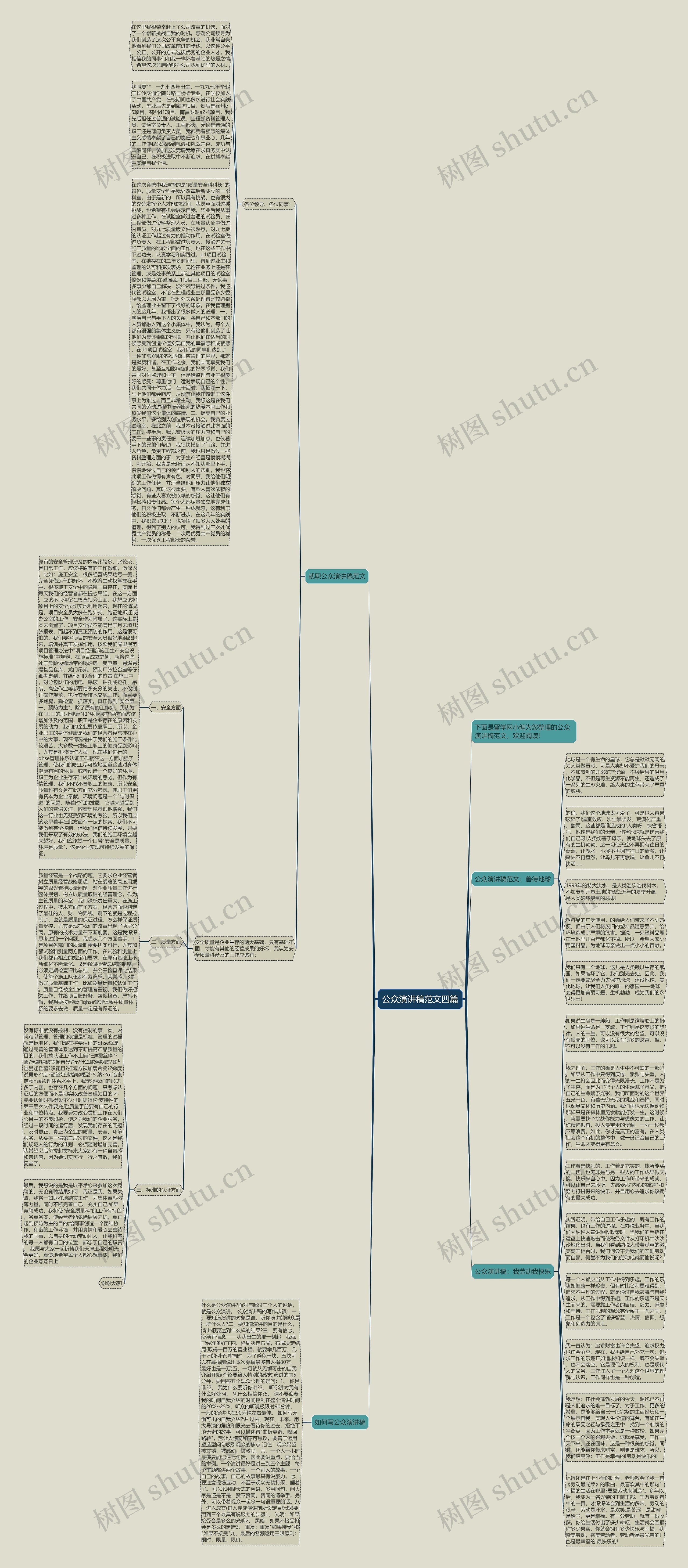 公众演讲稿范文四篇思维导图
