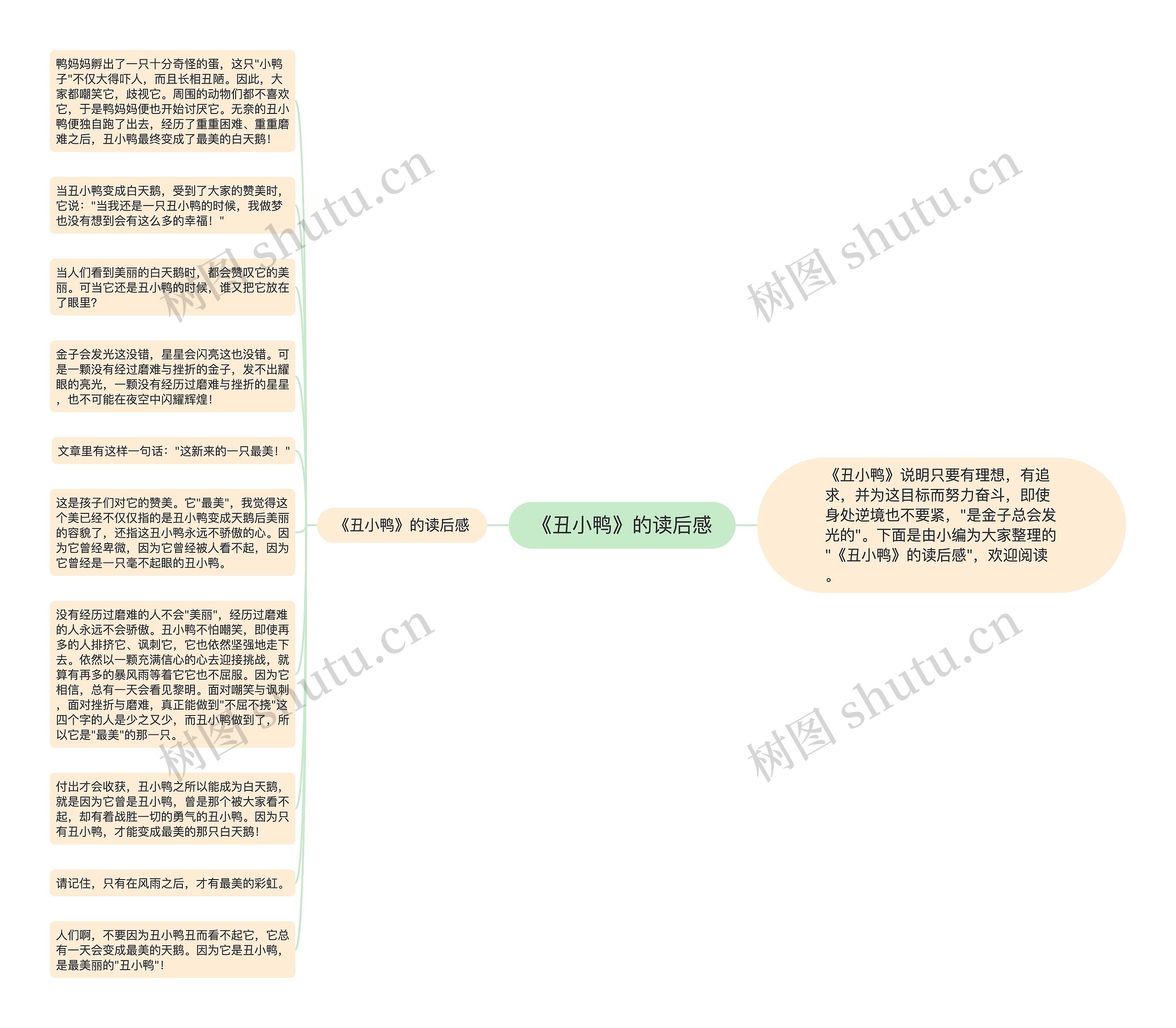 《丑小鸭》的读后感