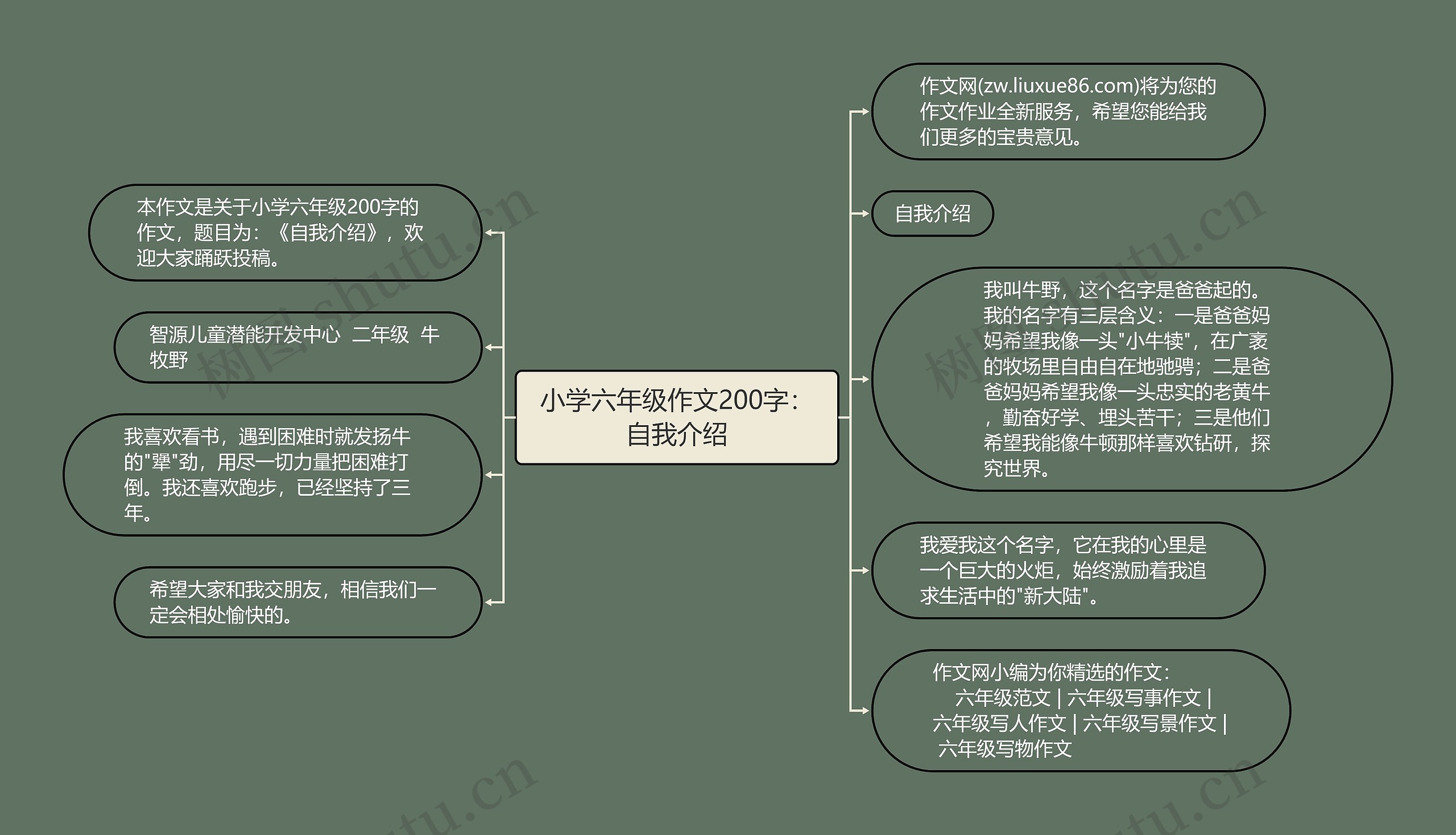 小学六年级作文200字：自我介绍