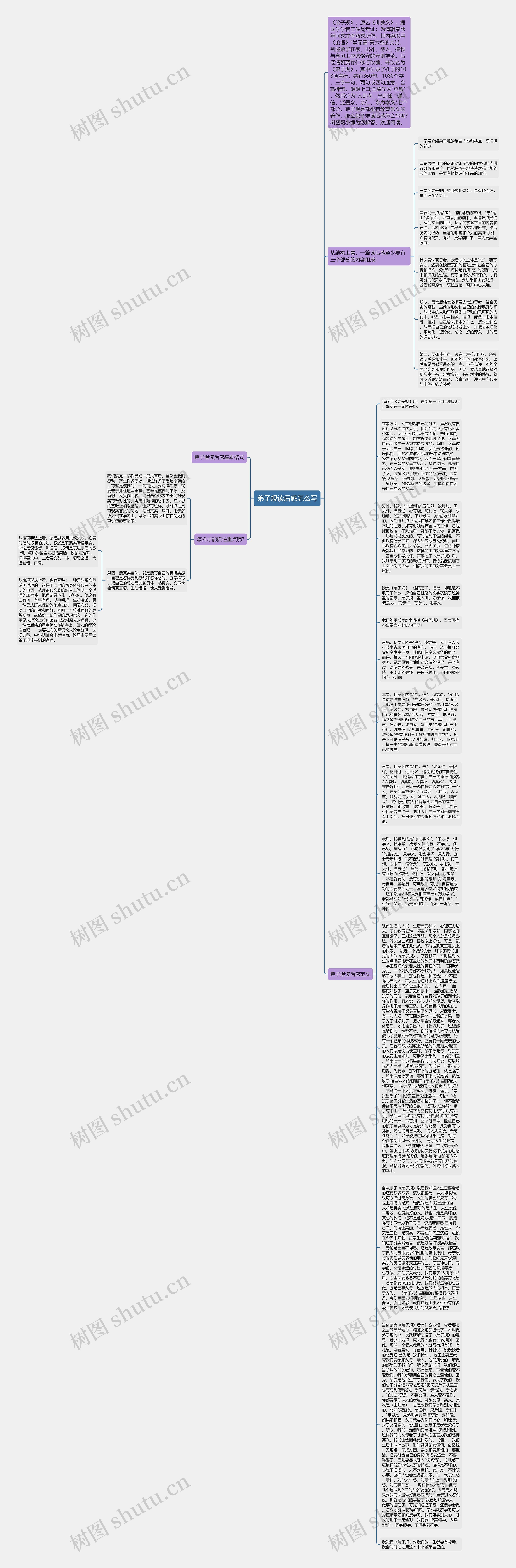 弟子规读后感怎么写思维导图