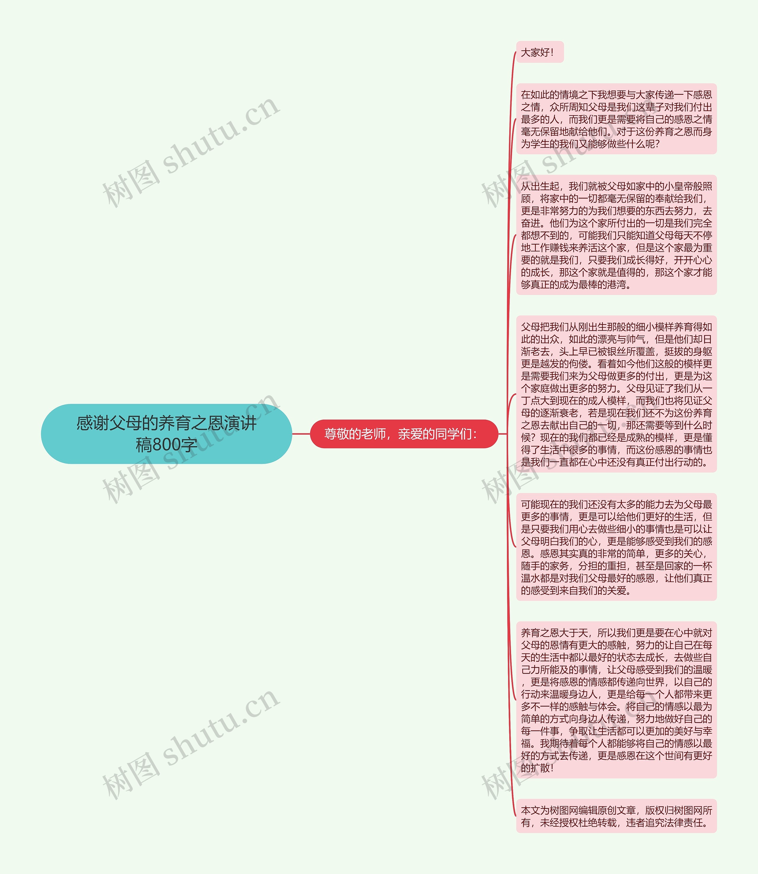 感谢父母的养育之恩演讲稿800字