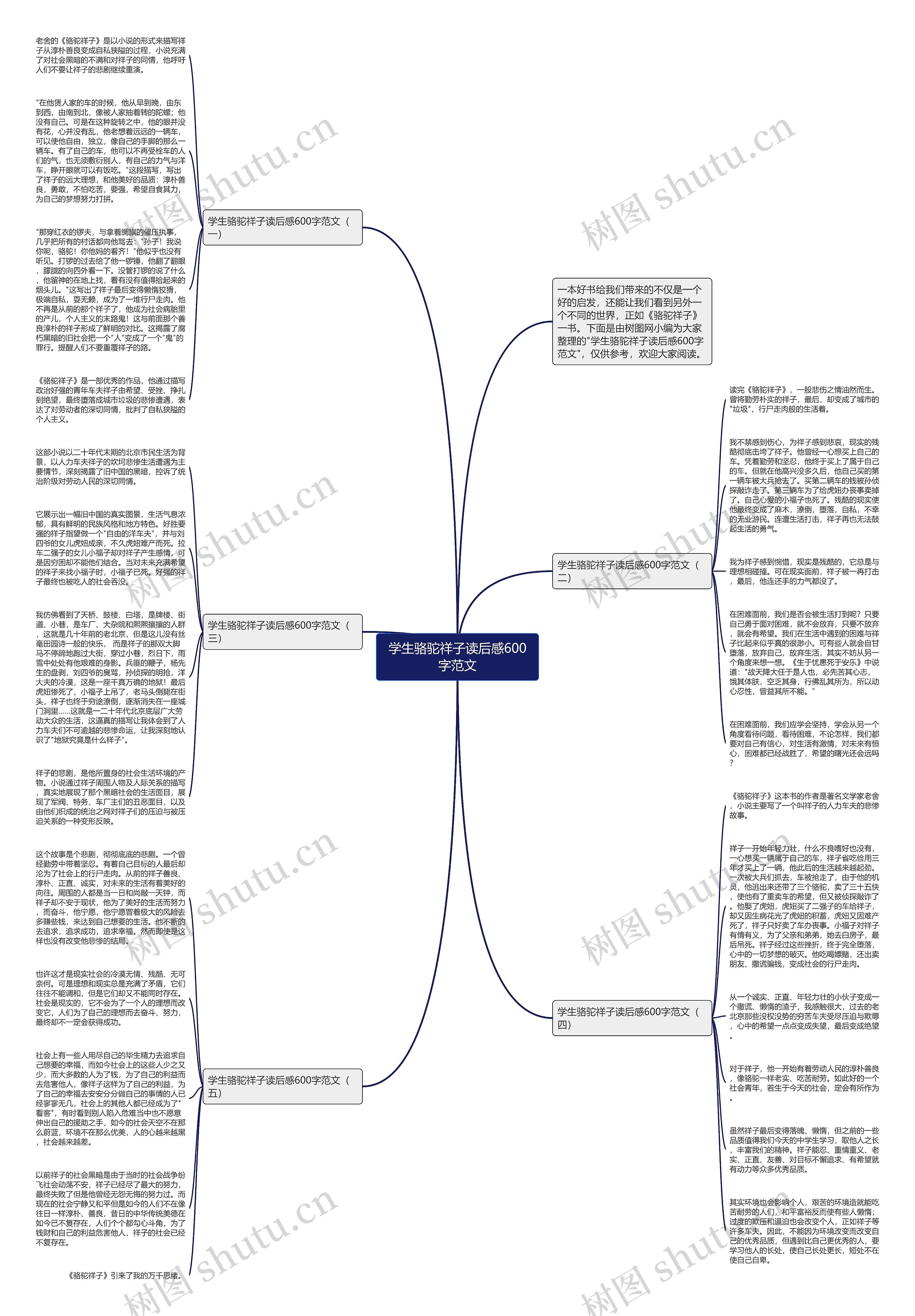 学生骆驼祥子读后感600字范文思维导图