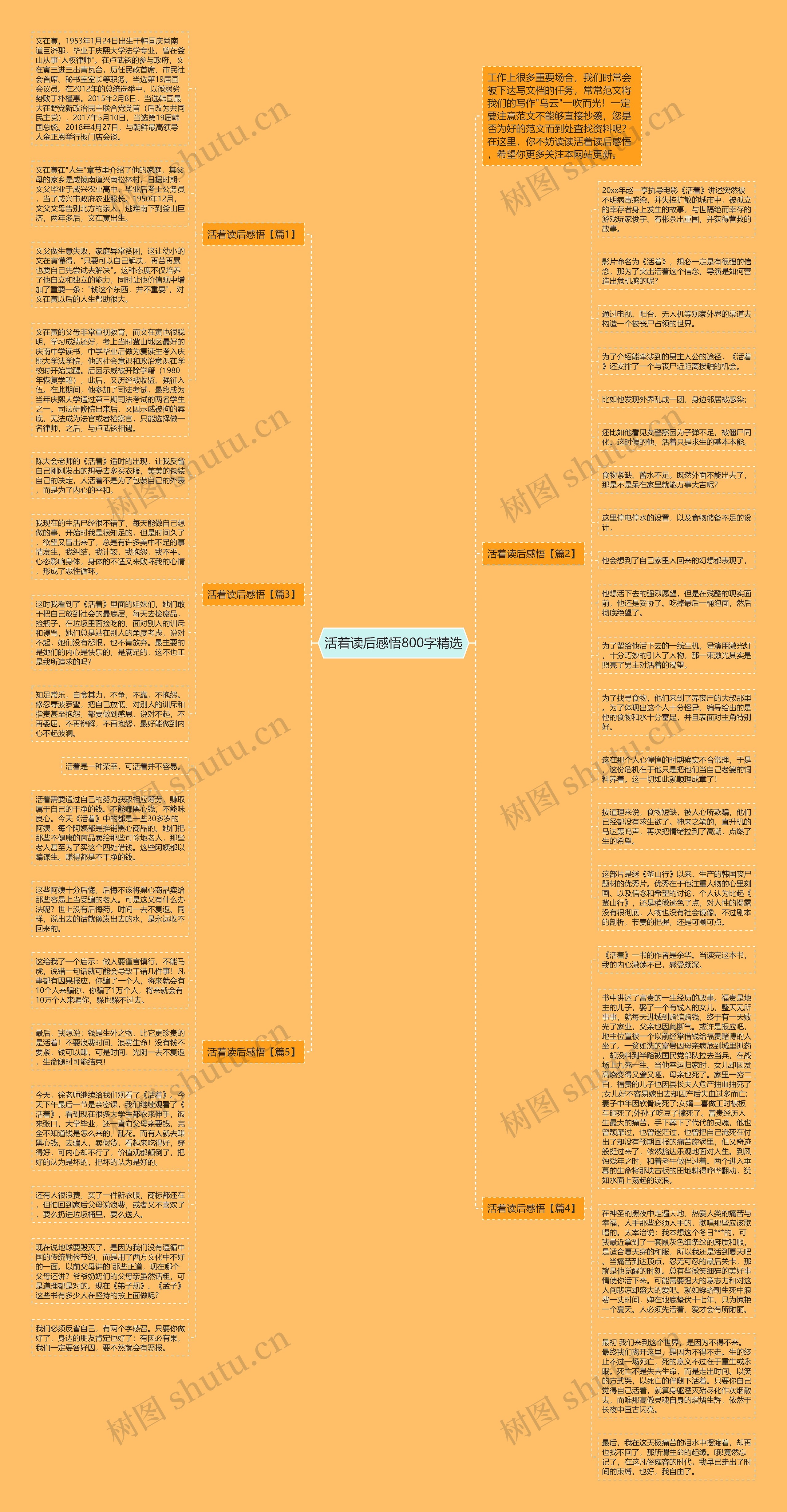 活着读后感悟800字精选思维导图