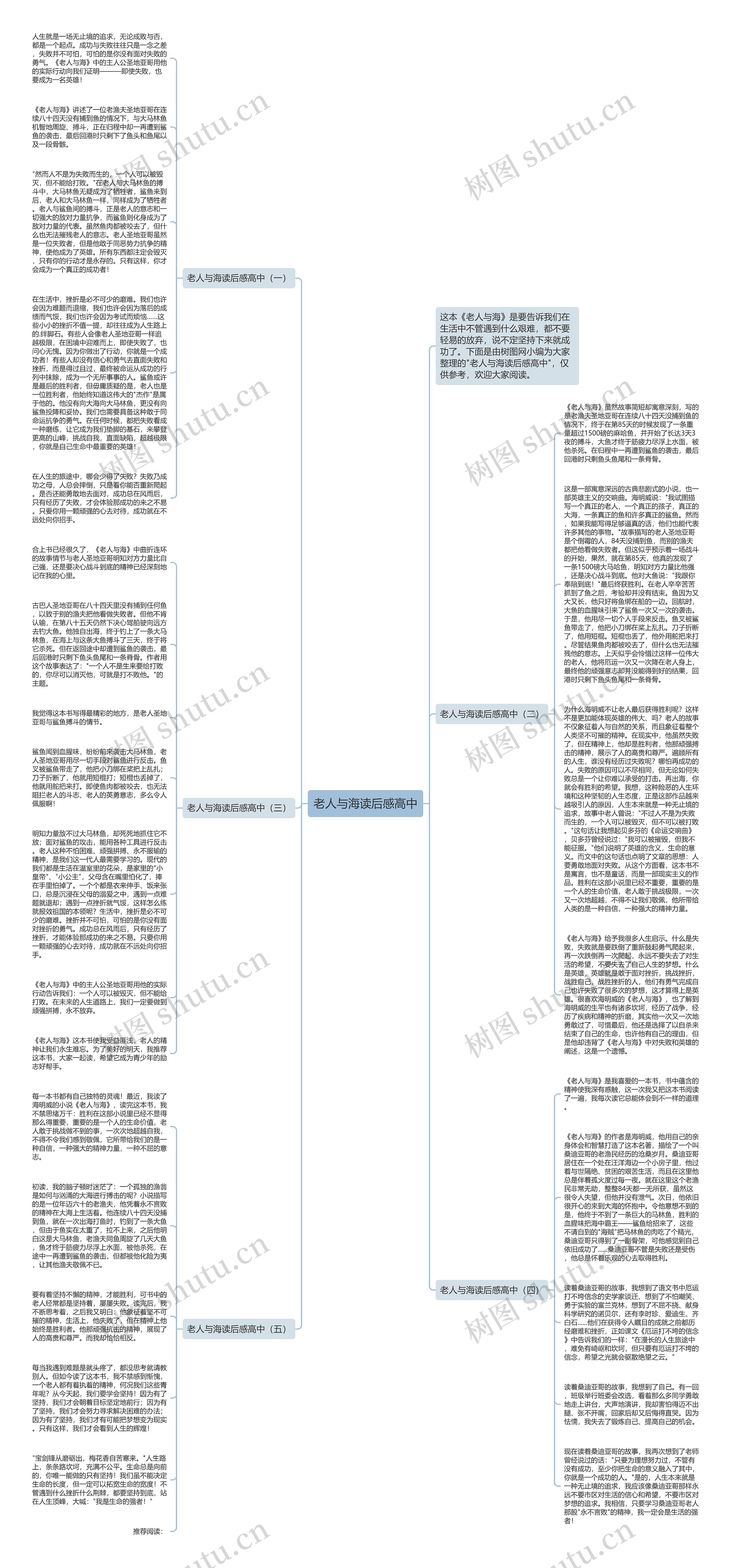 老人与海读后感高中