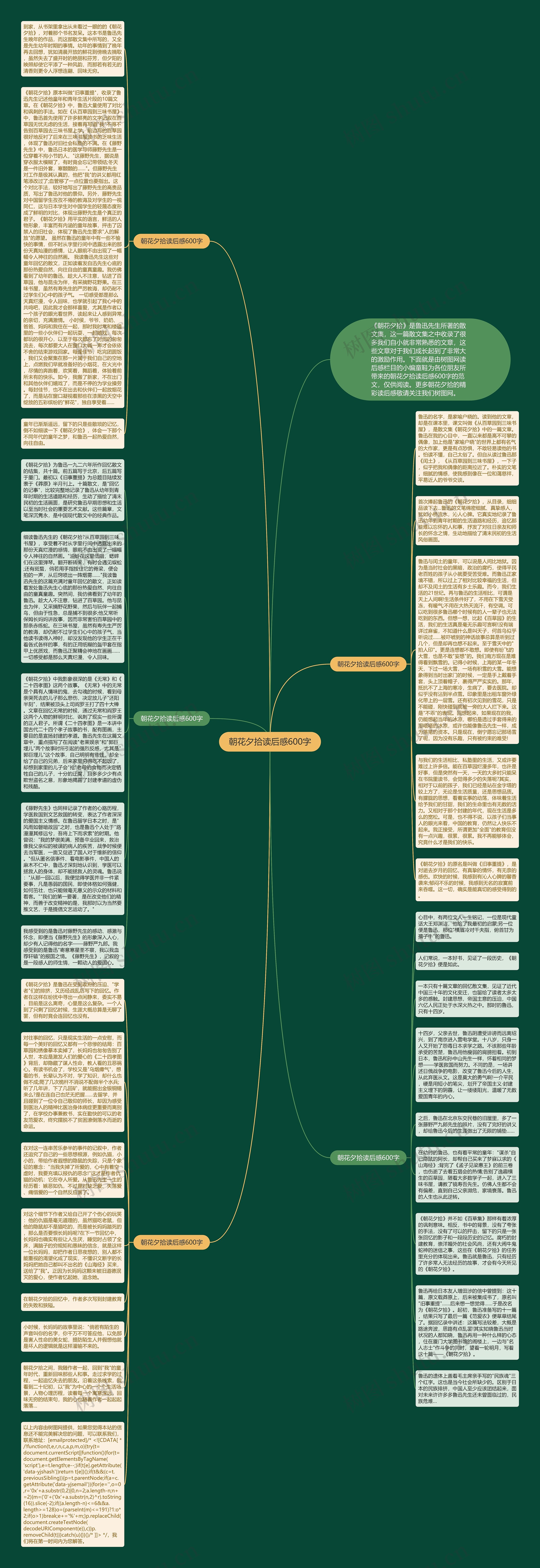 朝花夕拾读后感600字思维导图