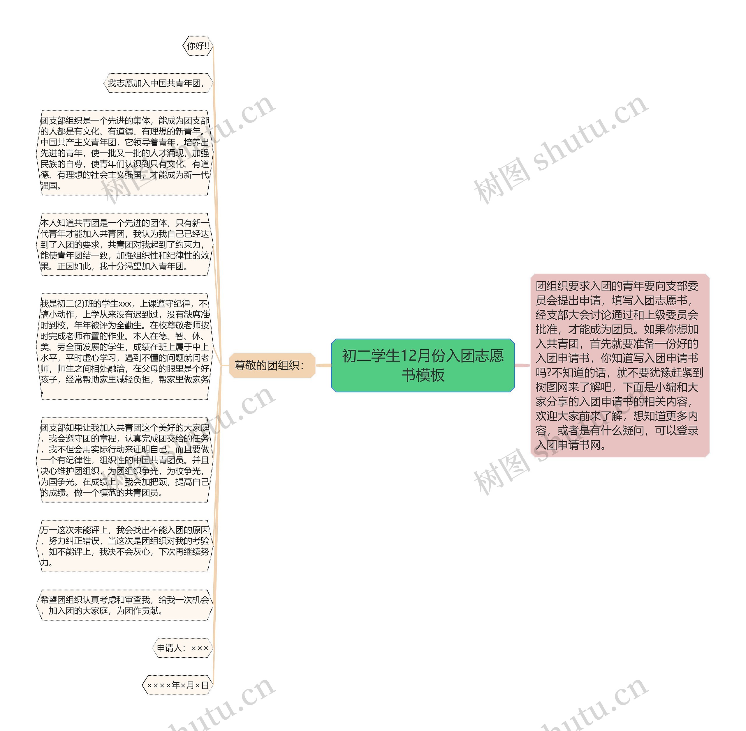 初二学生12月份入团志愿书思维导图