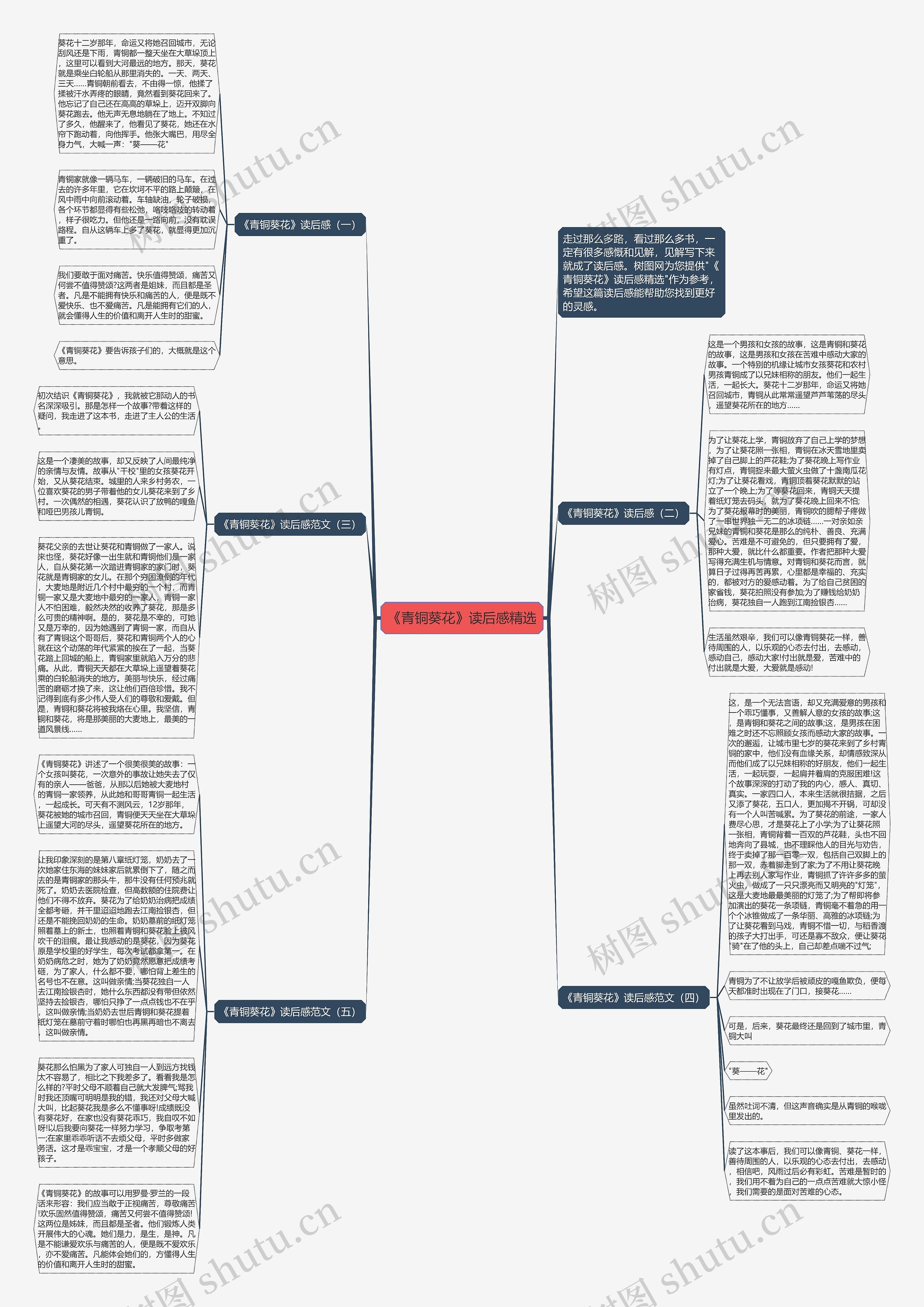 《青铜葵花》读后感精选思维导图