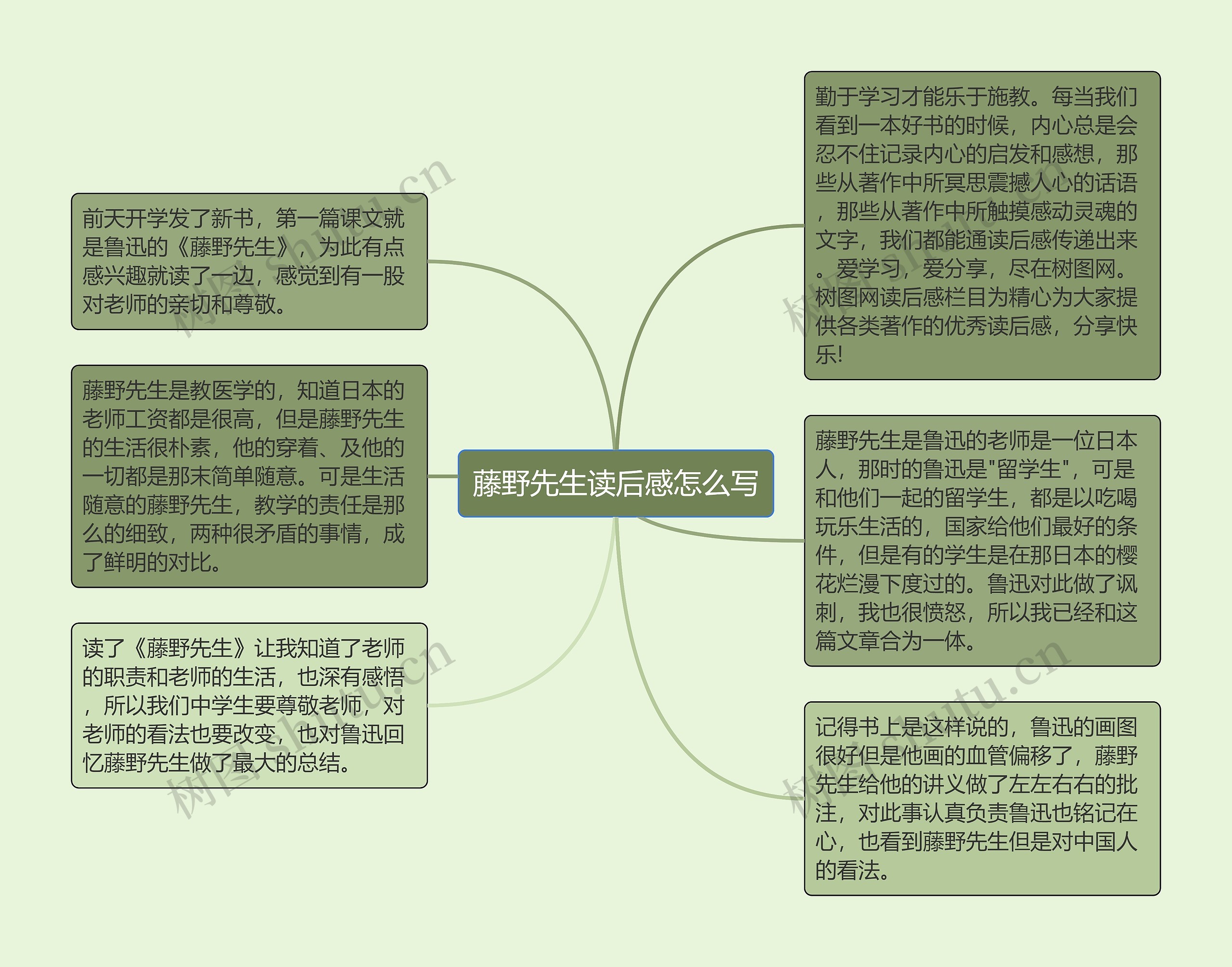 藤野先生读后感怎么写思维导图