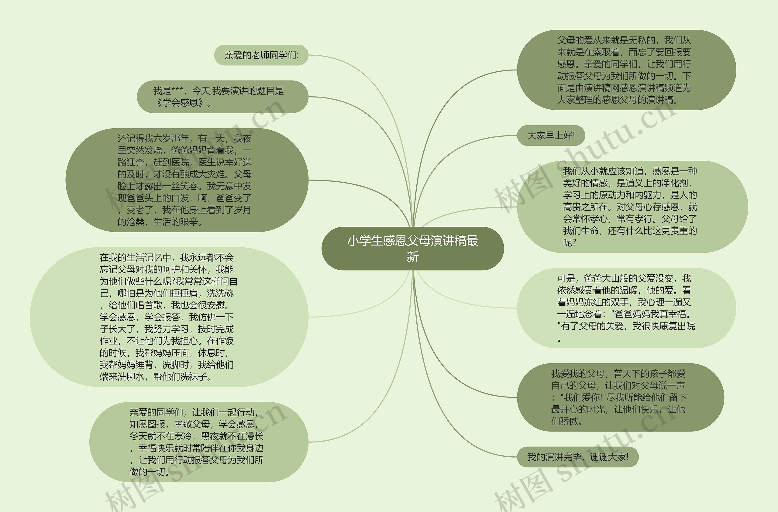 小学生感恩父母演讲稿最新