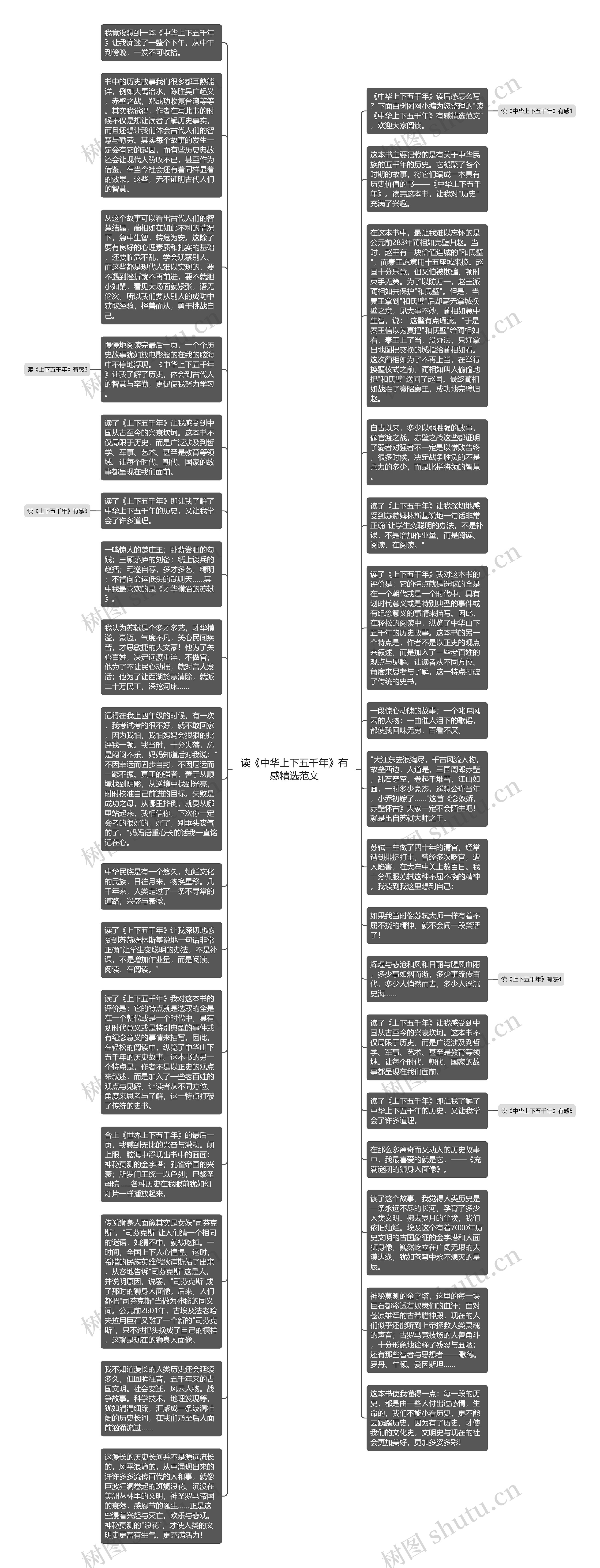 读《中华上下五千年》有感精选范文思维导图