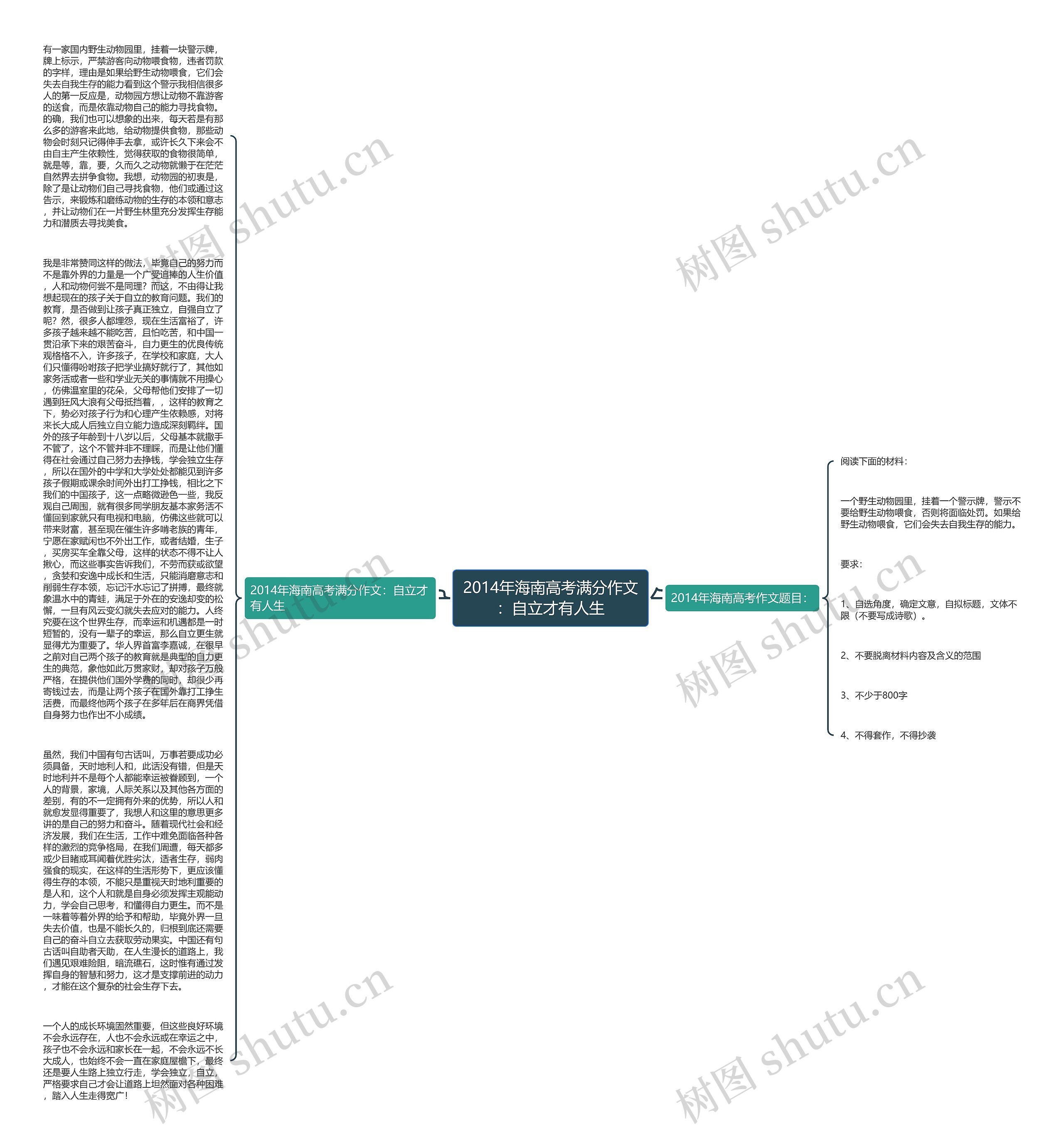 2014年海南高考满分作文：自立才有人生思维导图