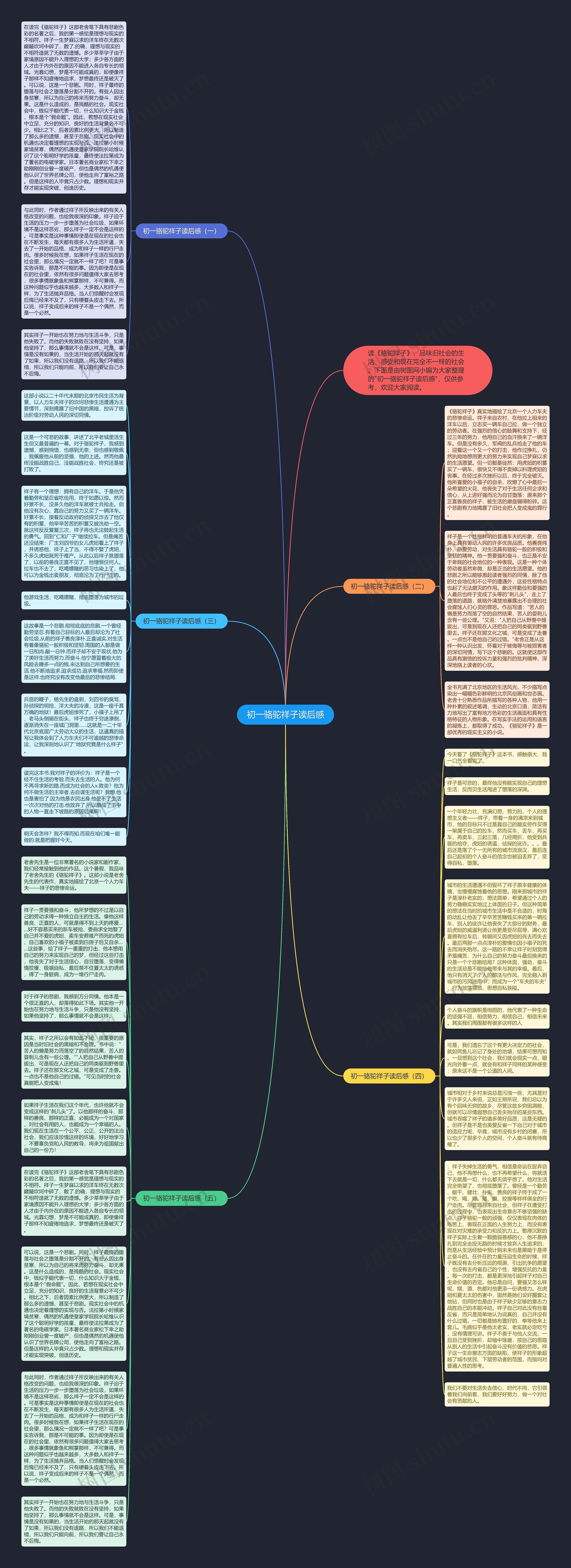 初一骆驼祥子读后感思维导图