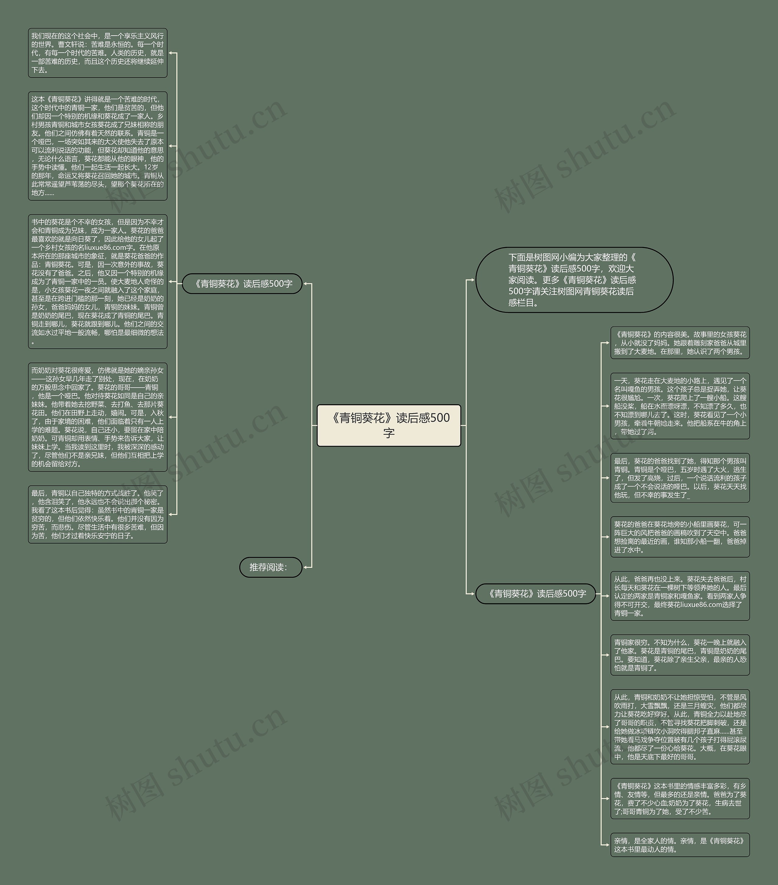 《青铜葵花》读后感500字思维导图