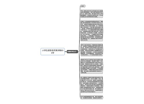 小学生感恩老师演讲稿800字