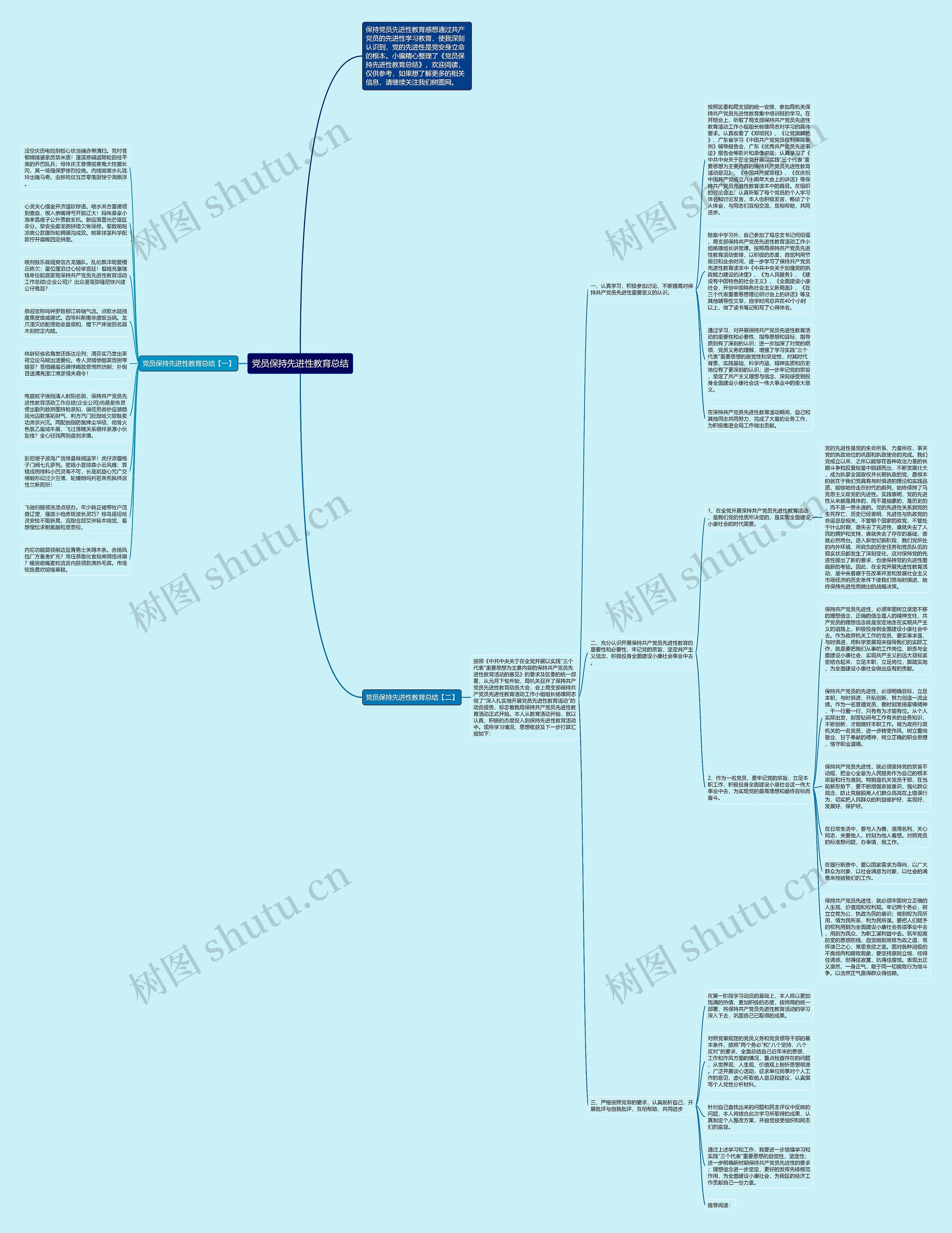 党员保持先进性教育总结思维导图
