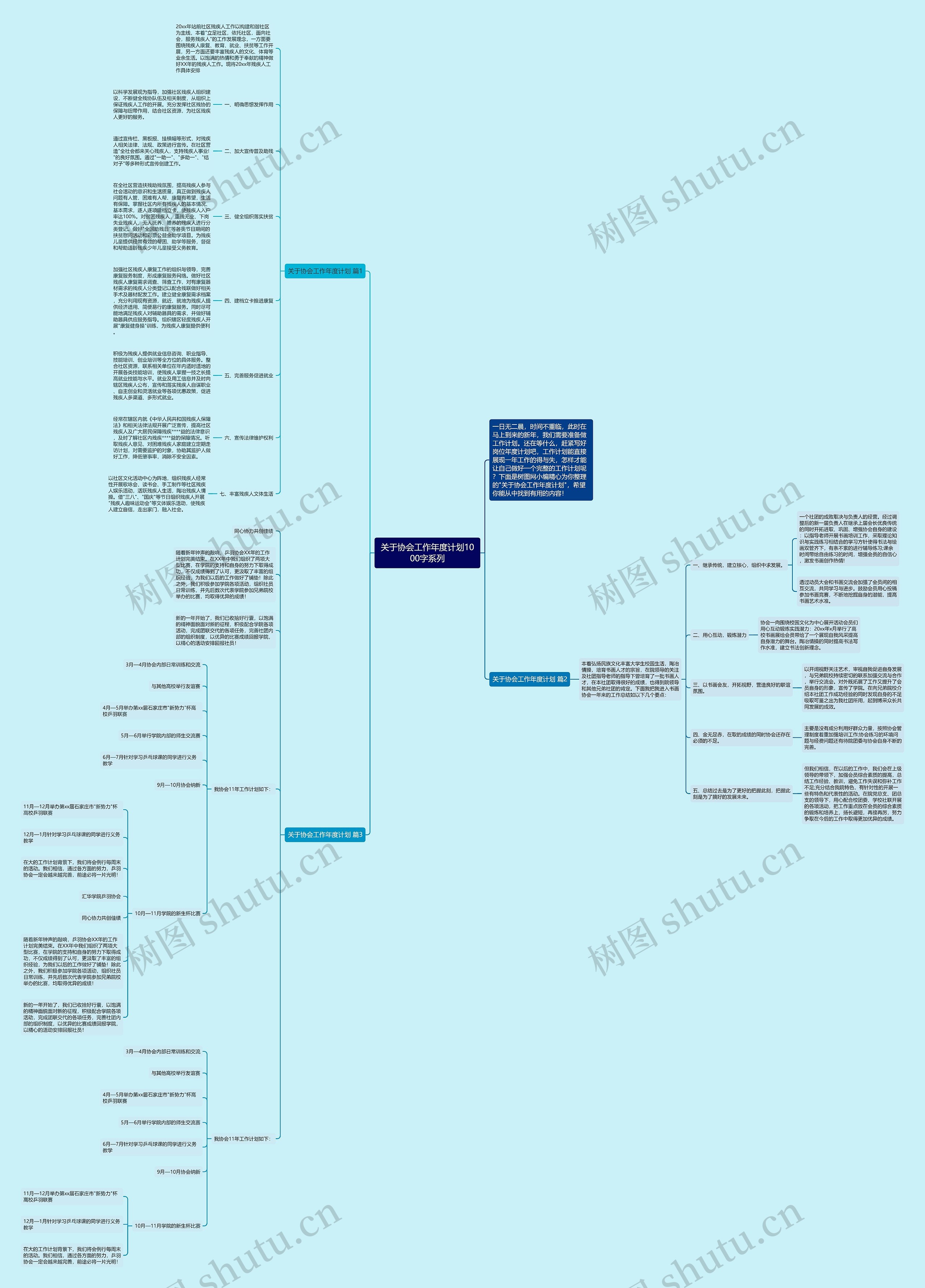 关于协会工作年度计划1000字系列思维导图