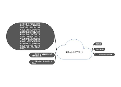 实验小学教师工作计划