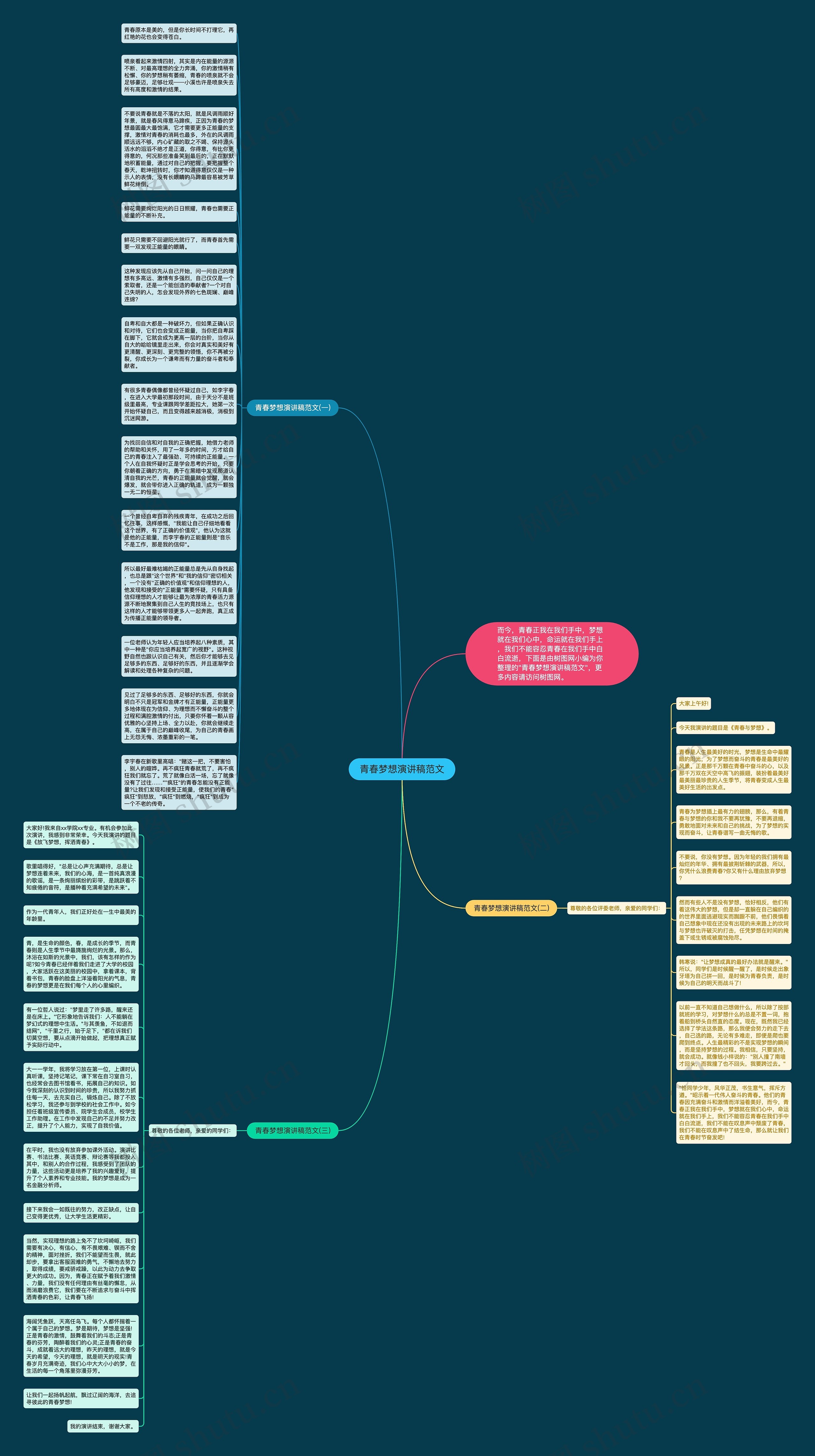 青春梦想演讲稿范文思维导图