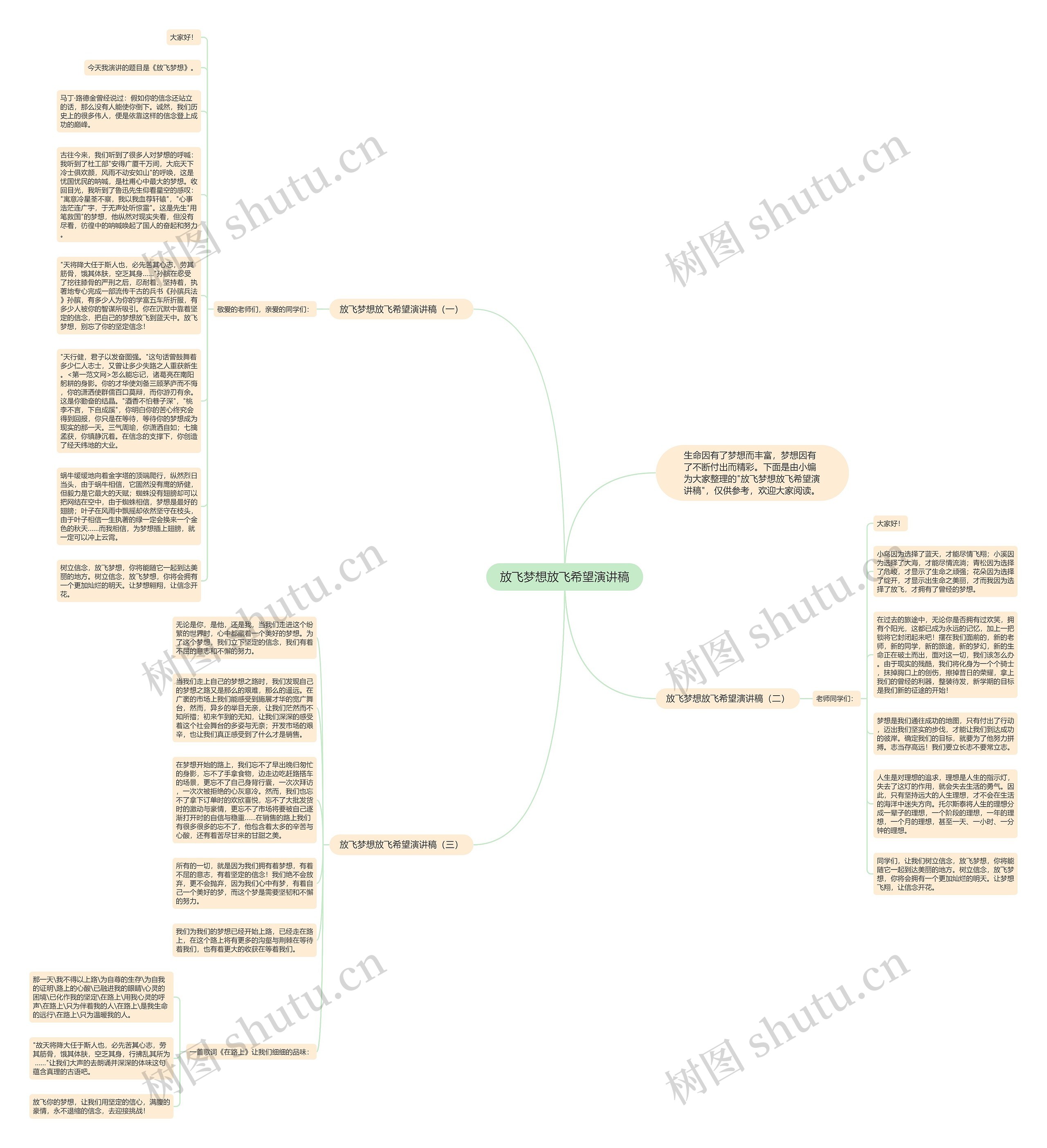 放飞梦想放飞希望演讲稿思维导图