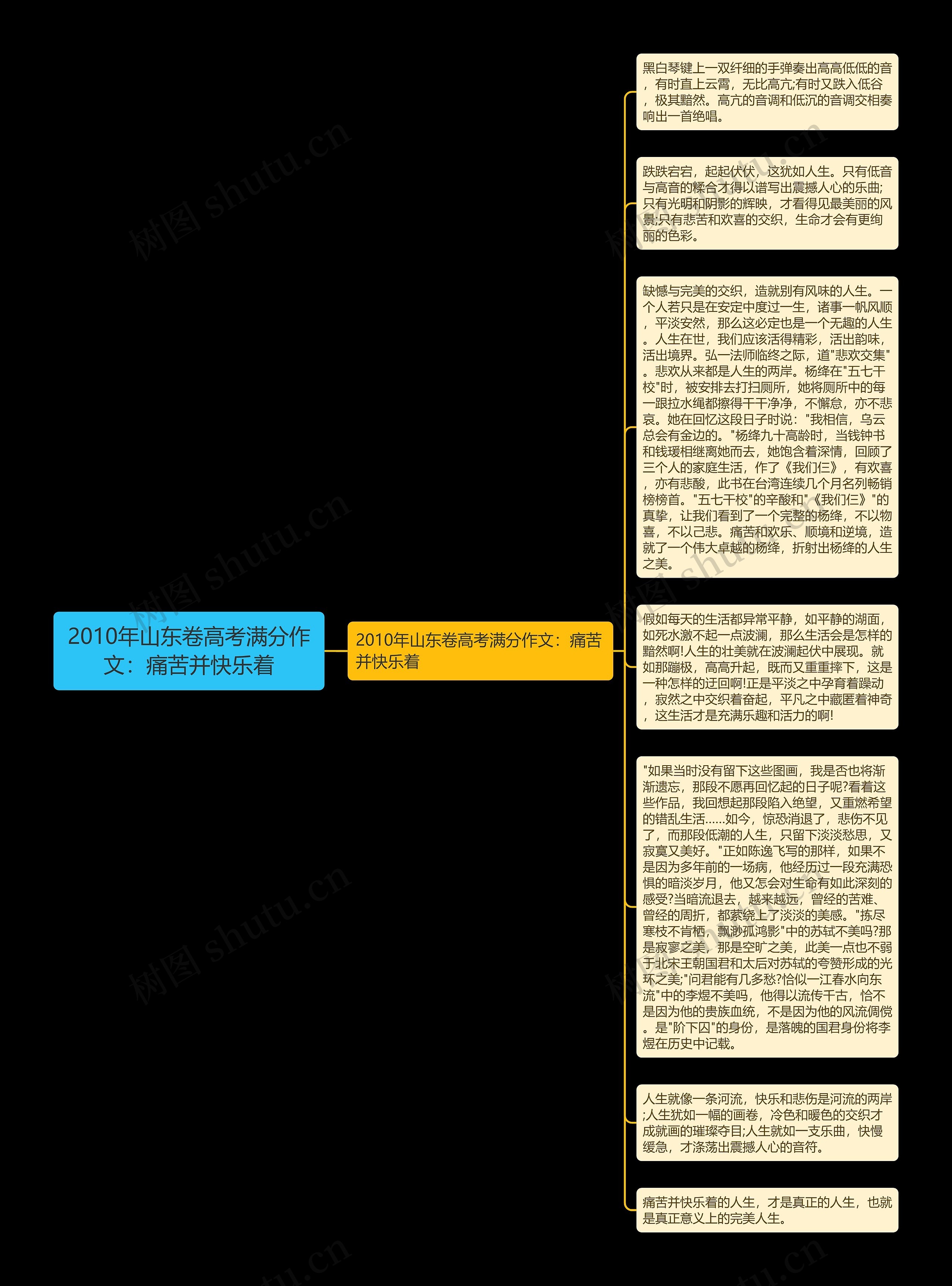 2010年山东卷高考满分作文：痛苦并快乐着思维导图