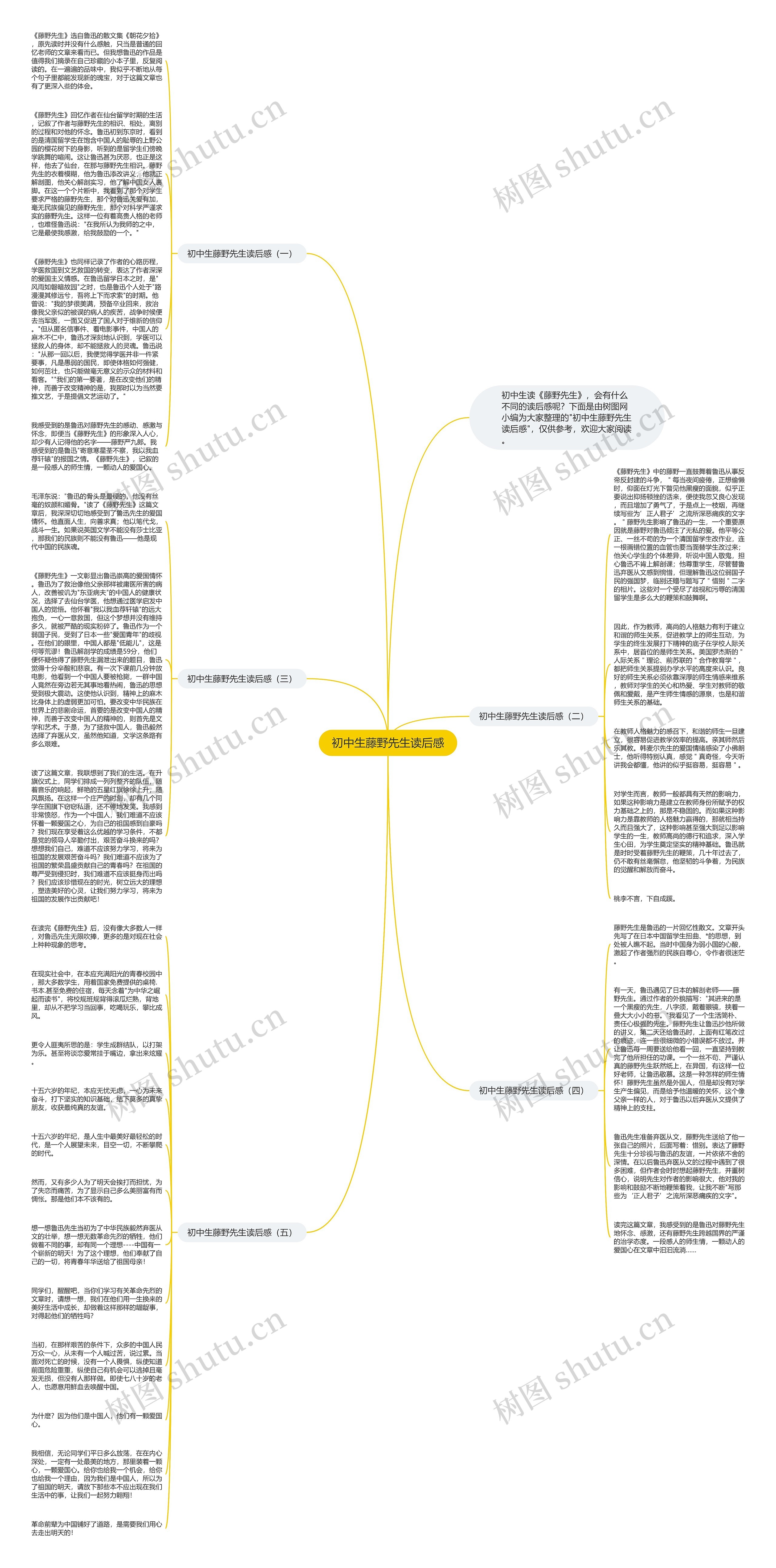 初中生藤野先生读后感思维导图高清图 初中生藤野先生读后感思维导图