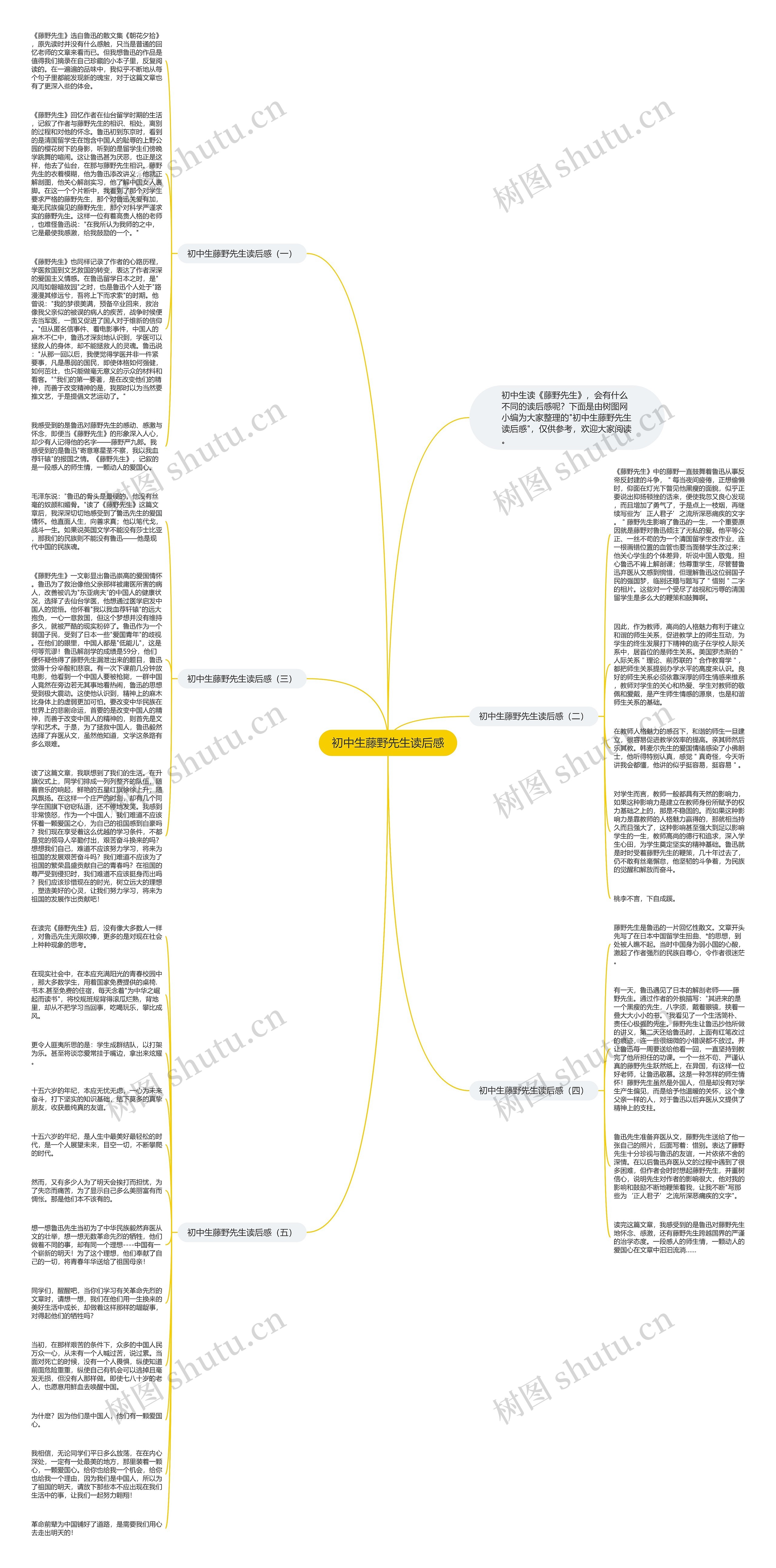 初中生藤野先生读后感思维导图