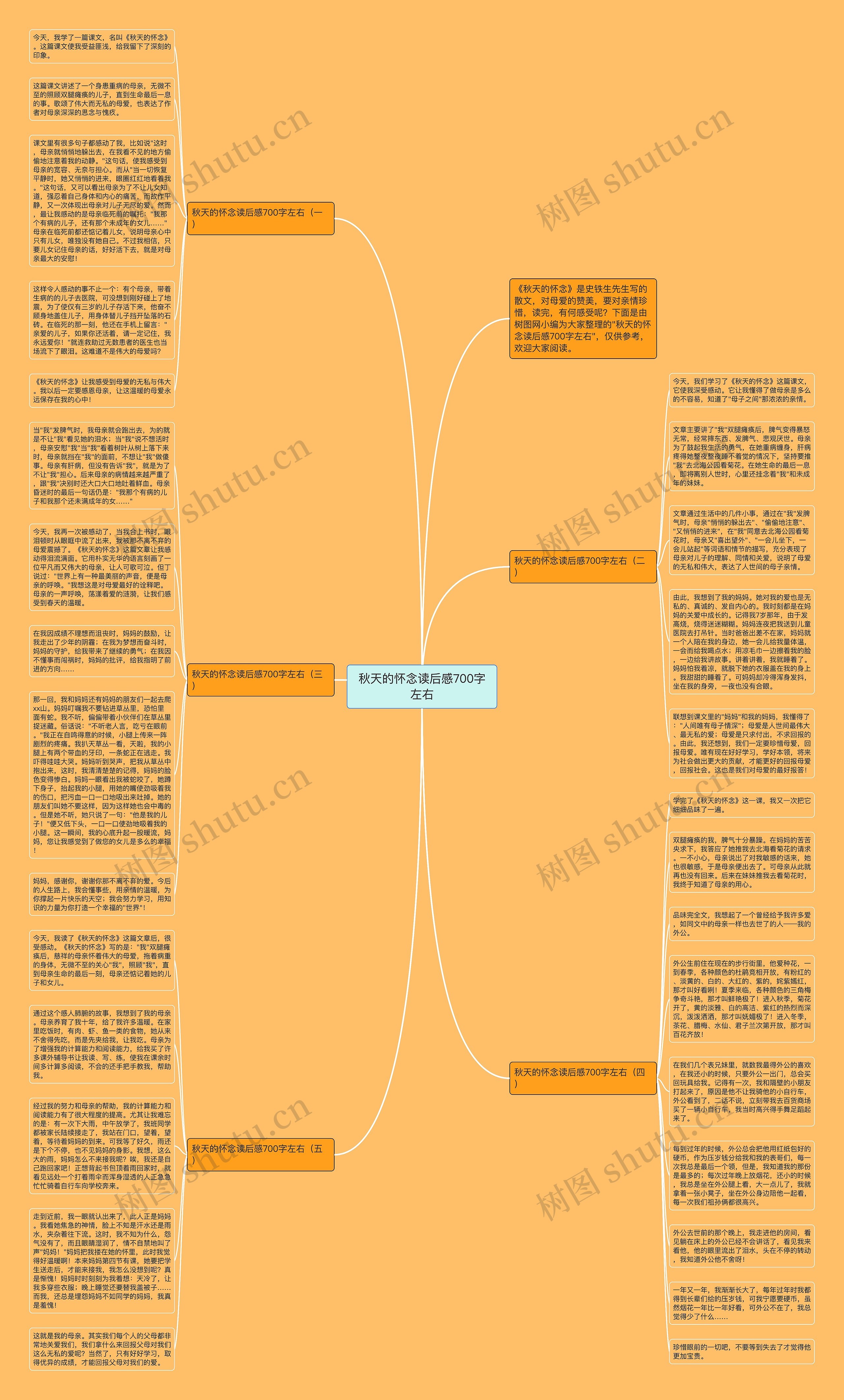 秋天的怀念读后感700字左右思维导图