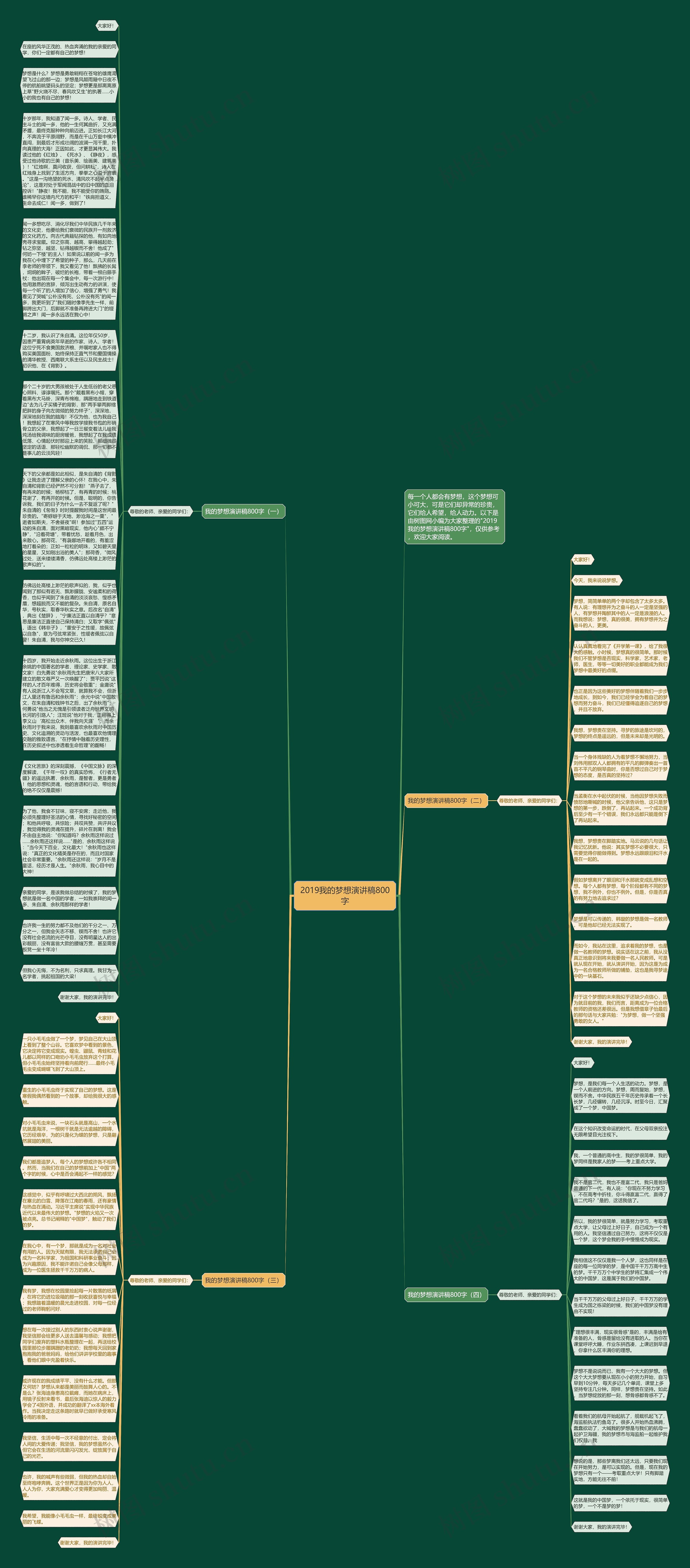 2019我的梦想演讲稿800字思维导图