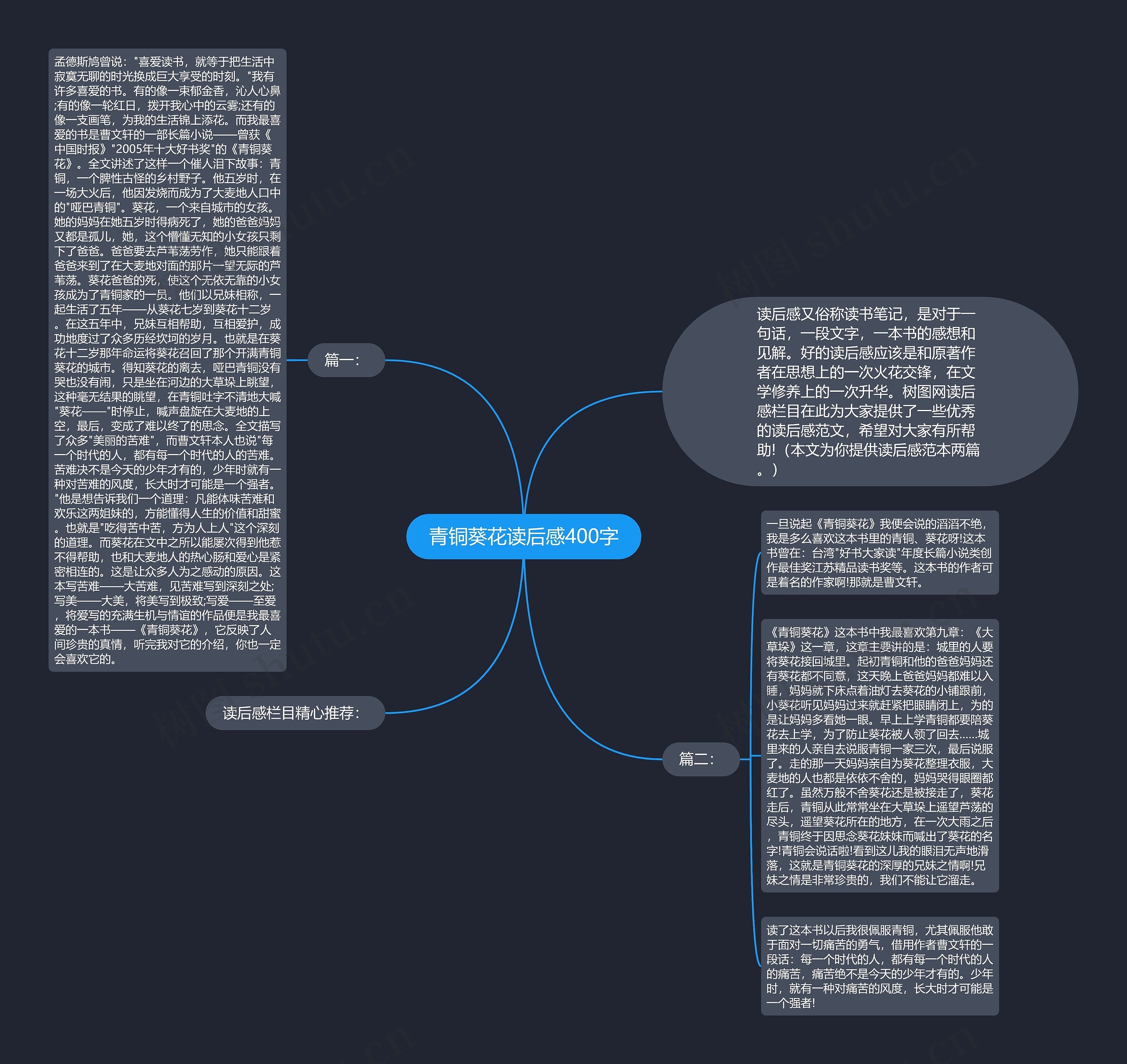 青铜葵花读后感400字思维导图