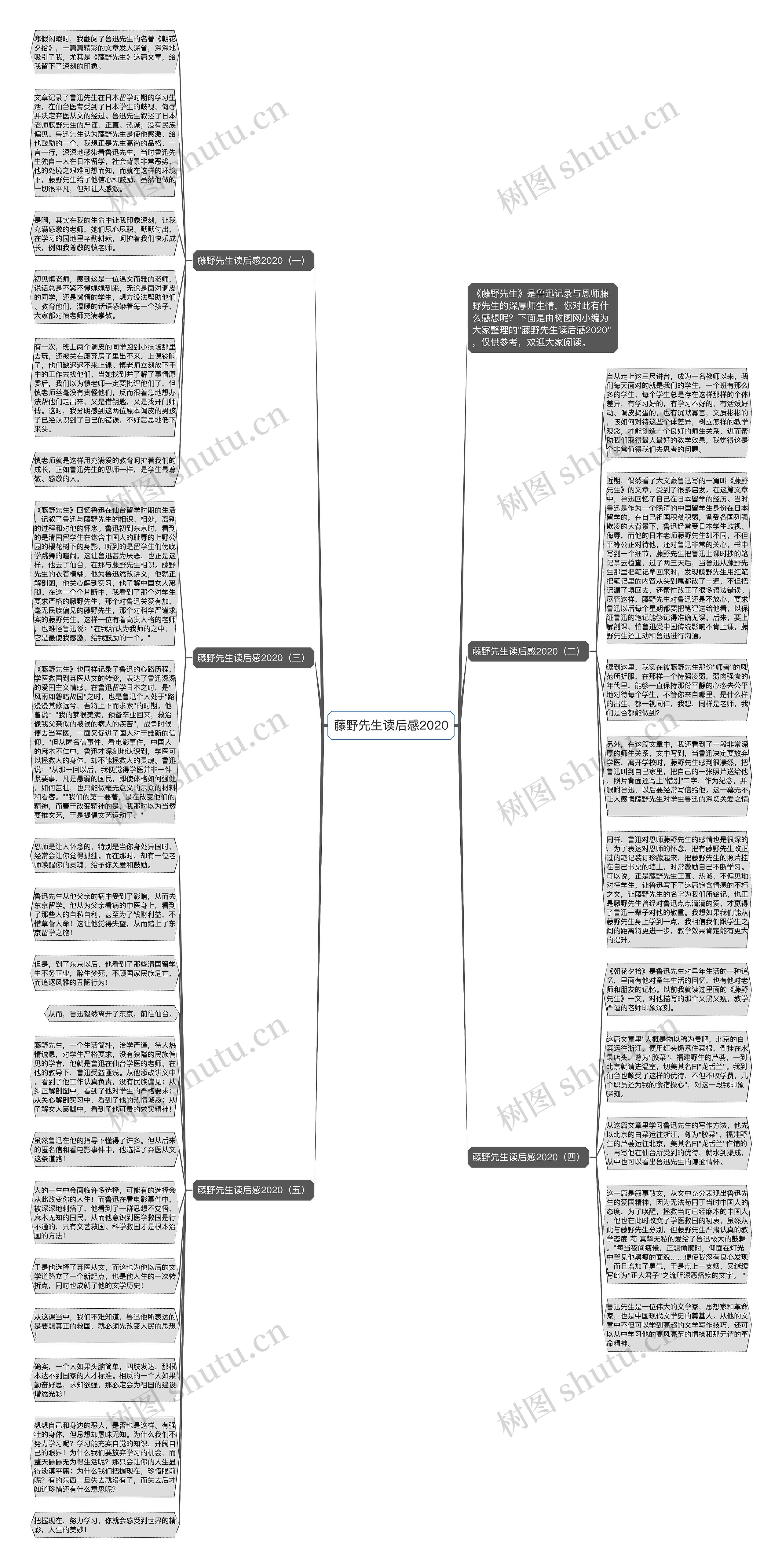 藤野先生读后感2020思维导图