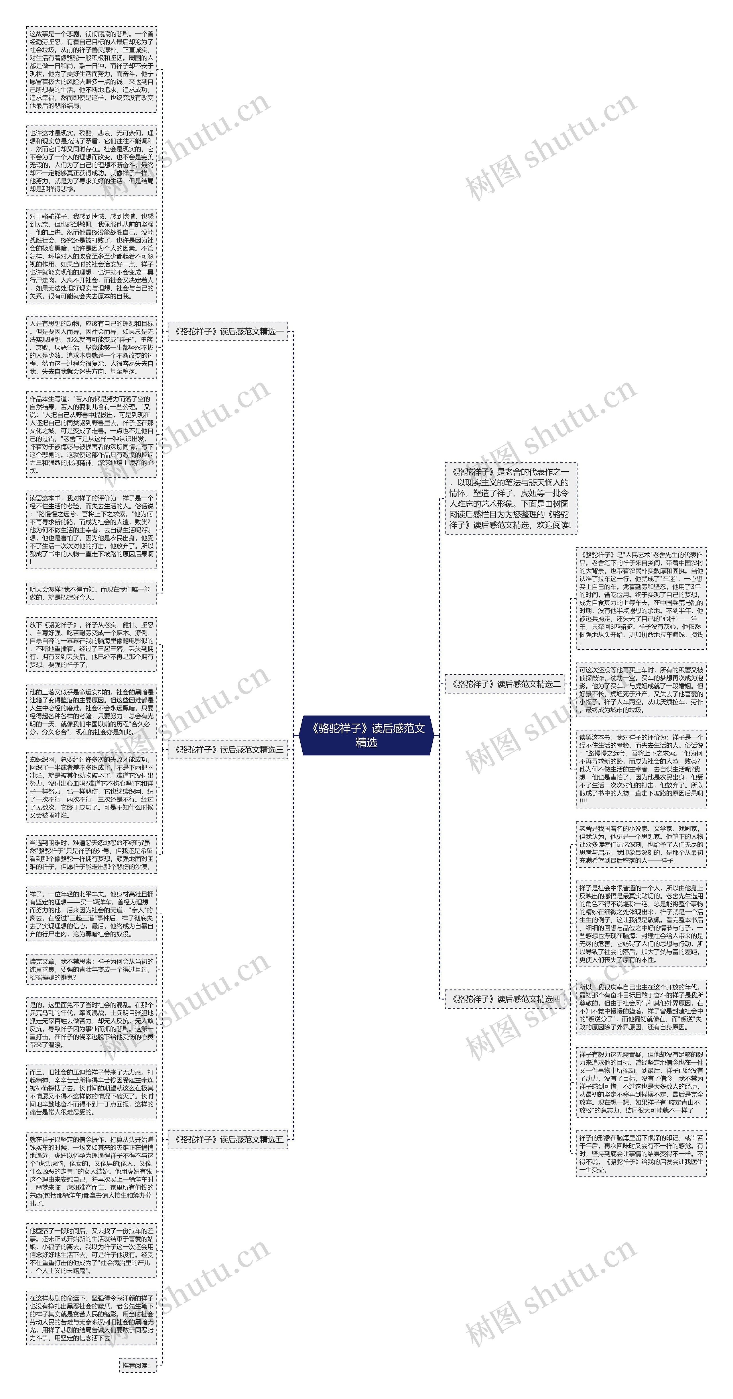 《骆驼祥子》读后感范文精选思维导图