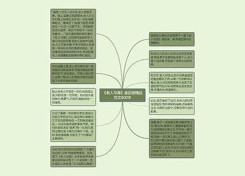 《老人与海》读后感精品范文800字