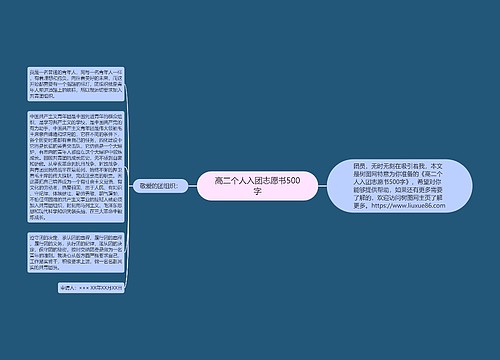 高二个人入团志愿书500字