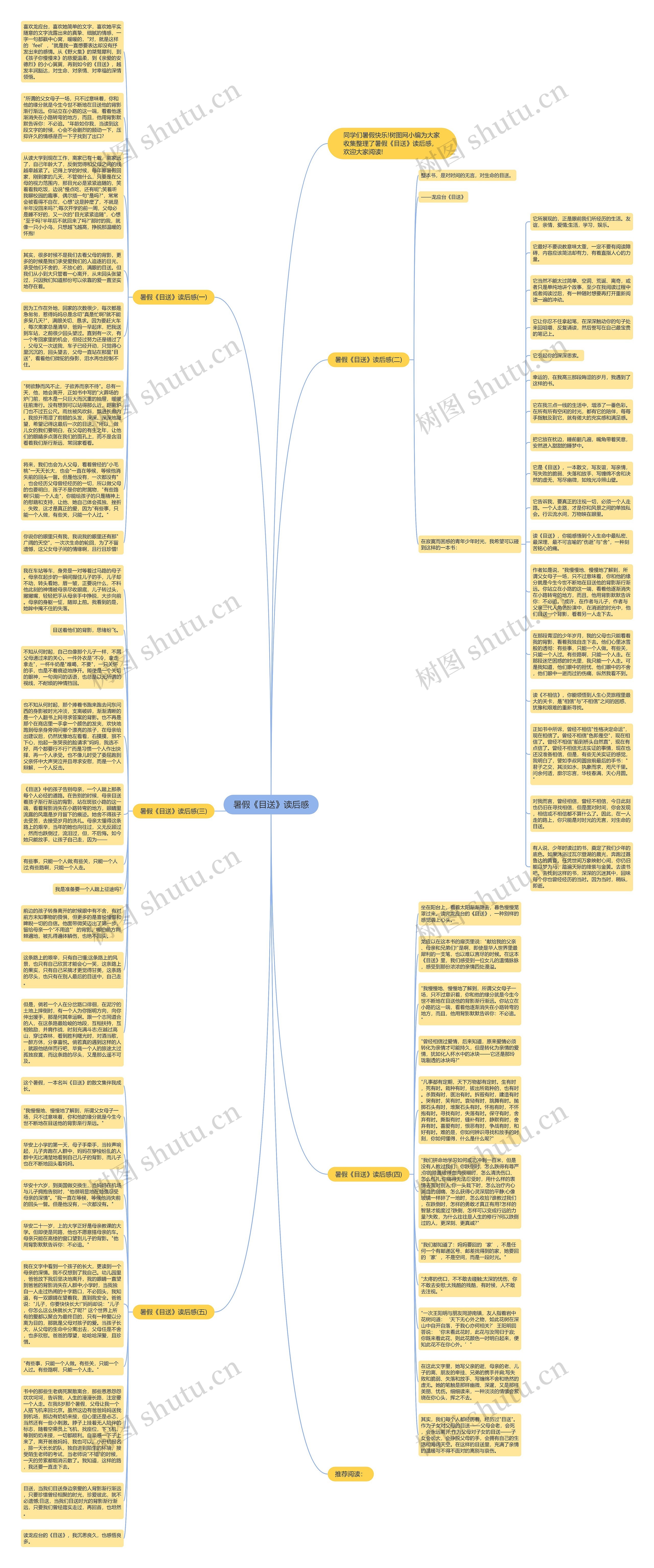暑假《目送》读后感思维导图