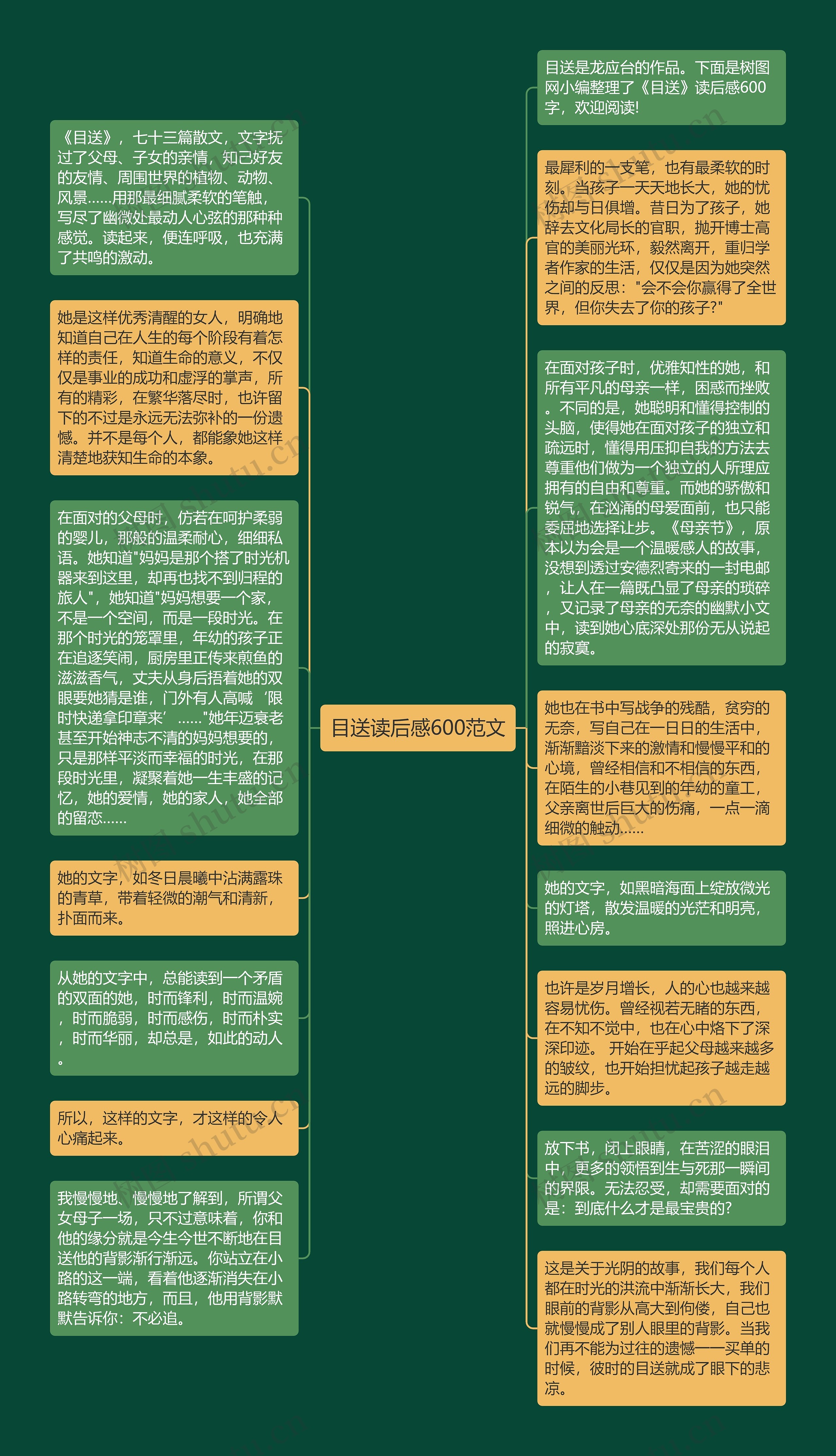 目送读后感600范文思维导图